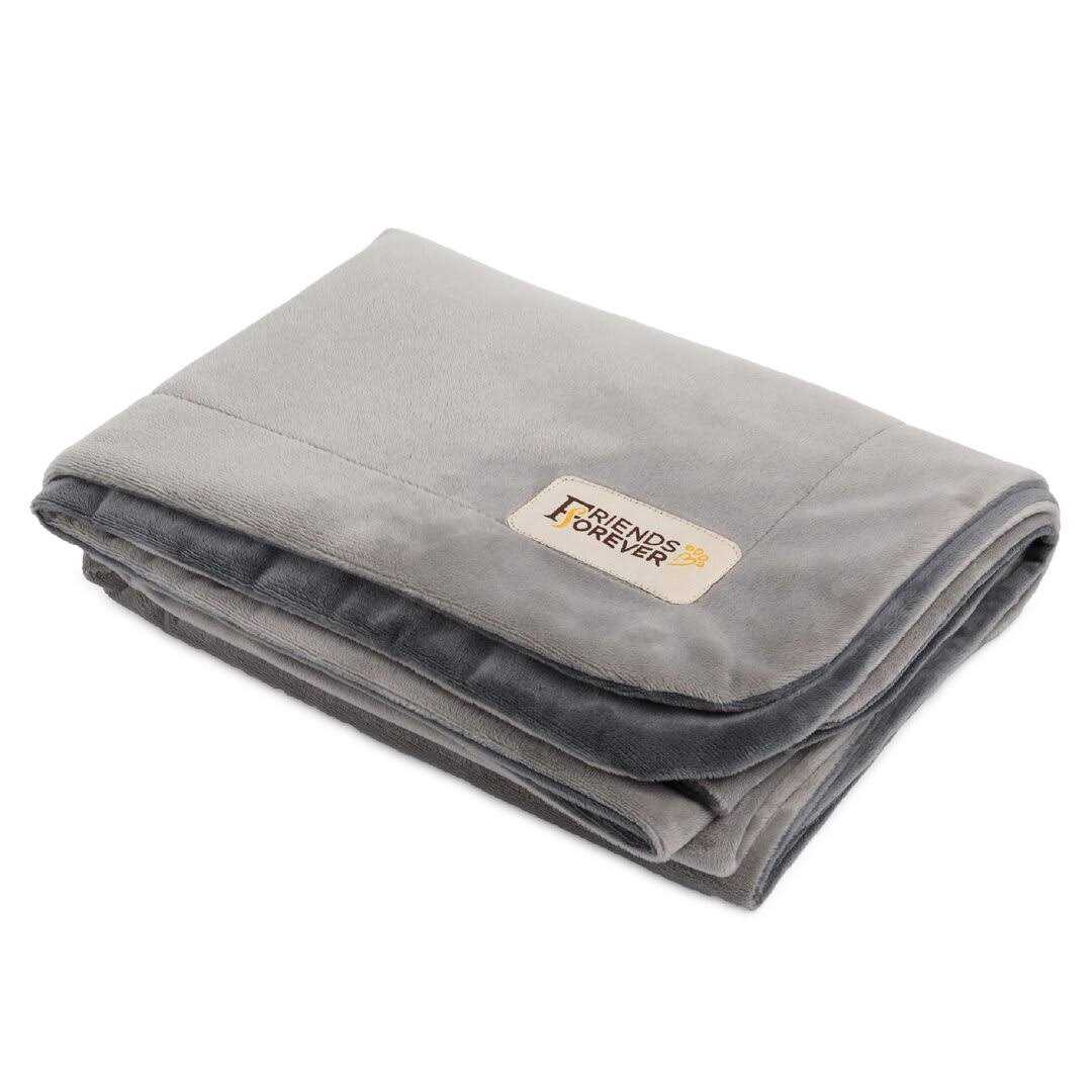 Friends Forever Durable Dog Blanket for Couch Protection - Healthber
