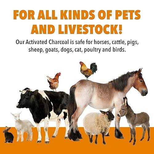 1qt VetDtox Activated Charcoal Powder for Pets & Livestock for poisonings - Healthber