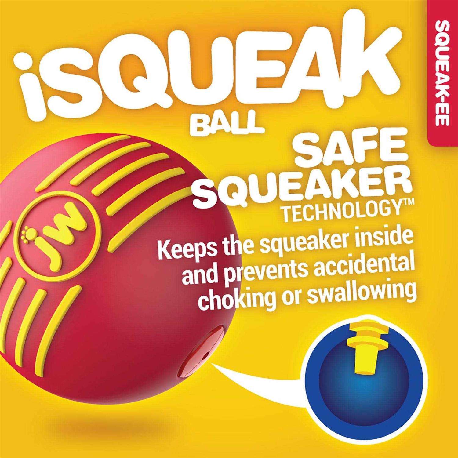 JW Pet iSqueak Ball Dog Toy - Healthber