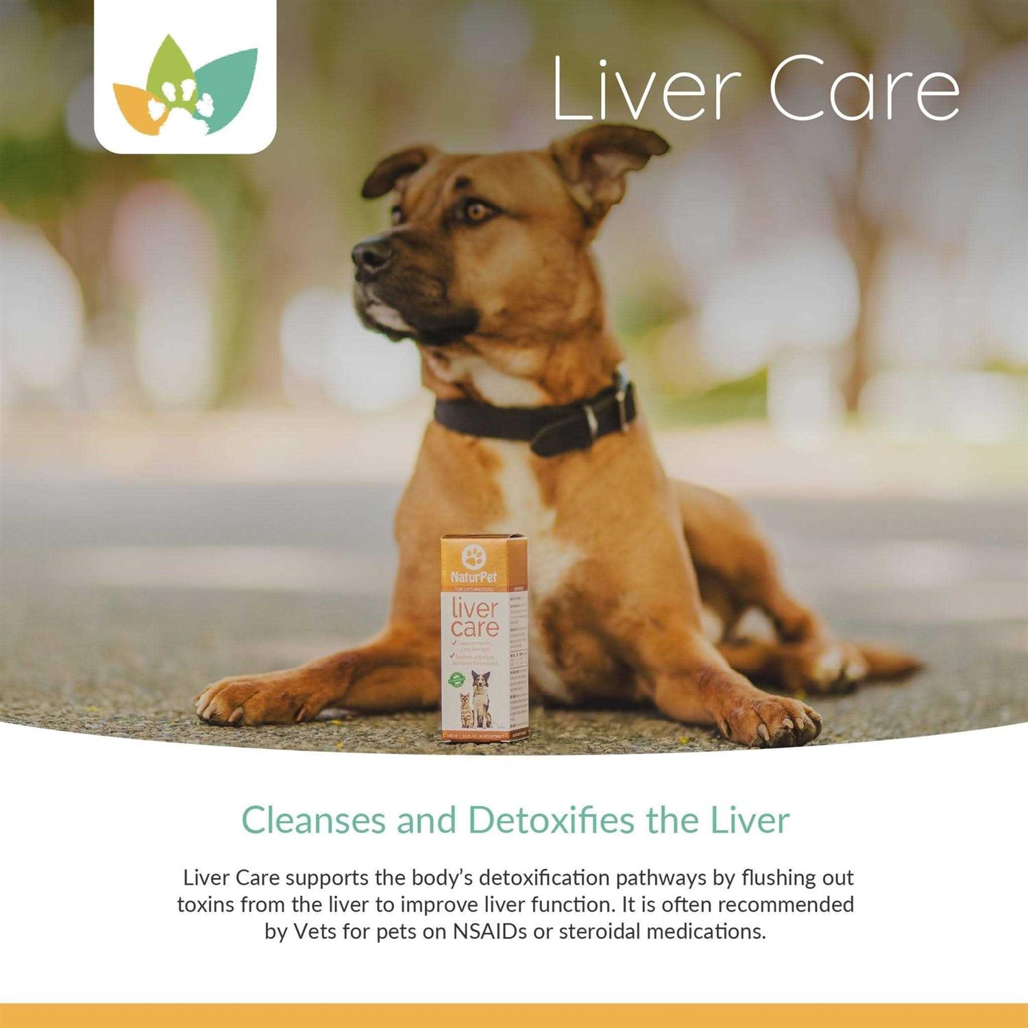 NaturPet Liver Care 100ml - Healthber