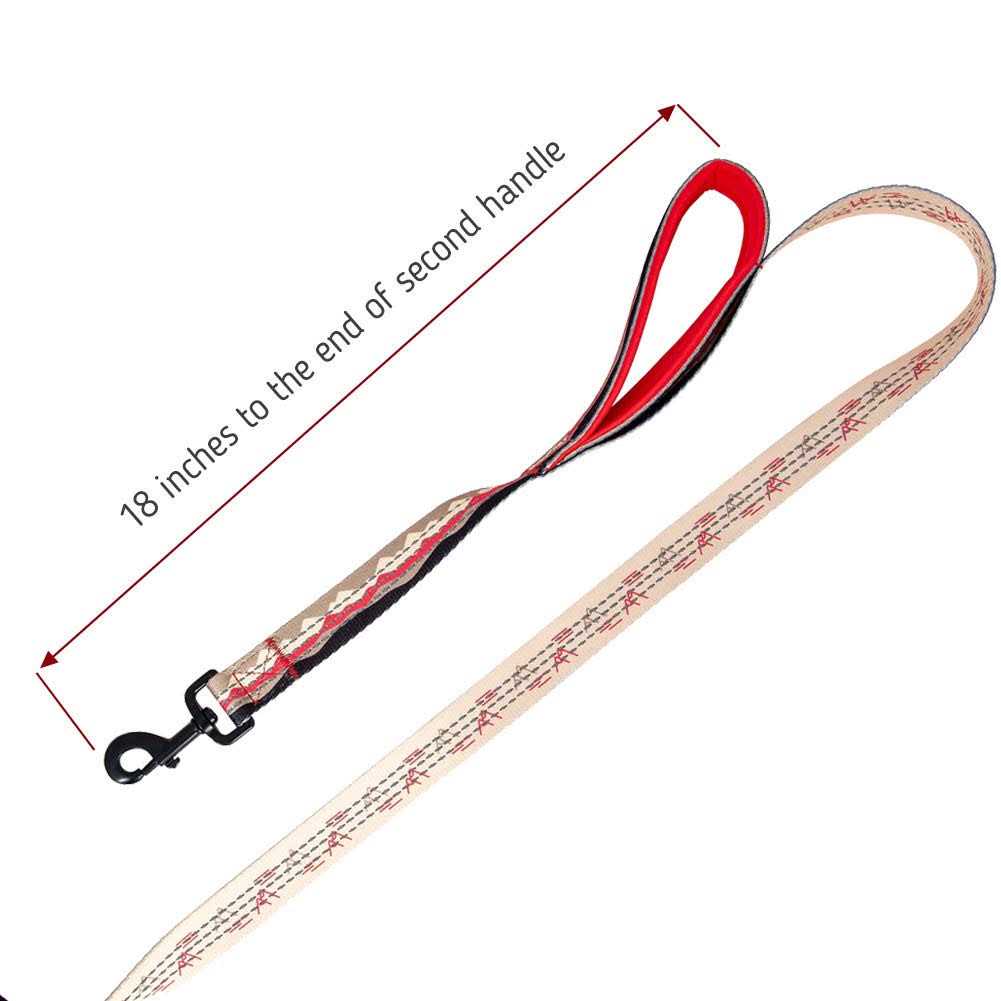 Leashboss 6ft Dog Leash Padded Handle - Healthber