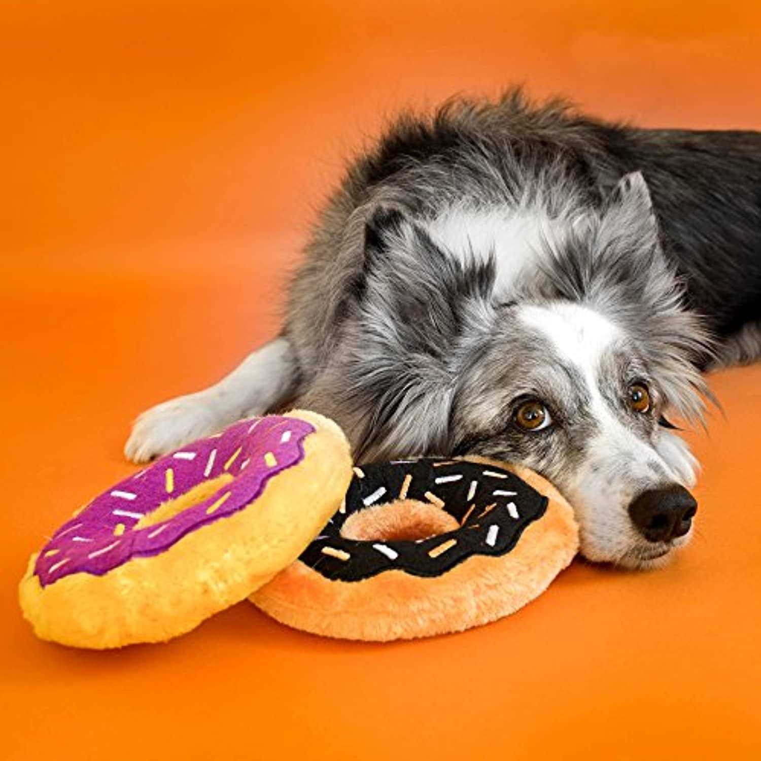 ZippyPaws Donutz Dog Toy - Healthber