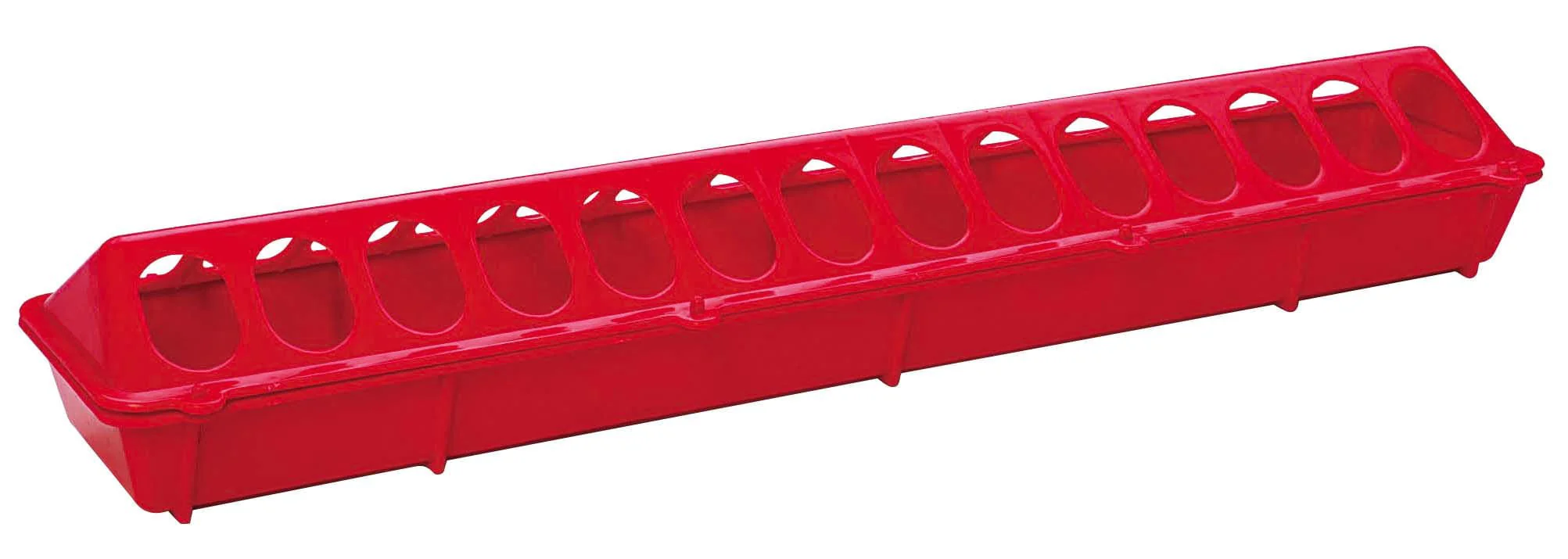Plastic Chicken Feeder, 20