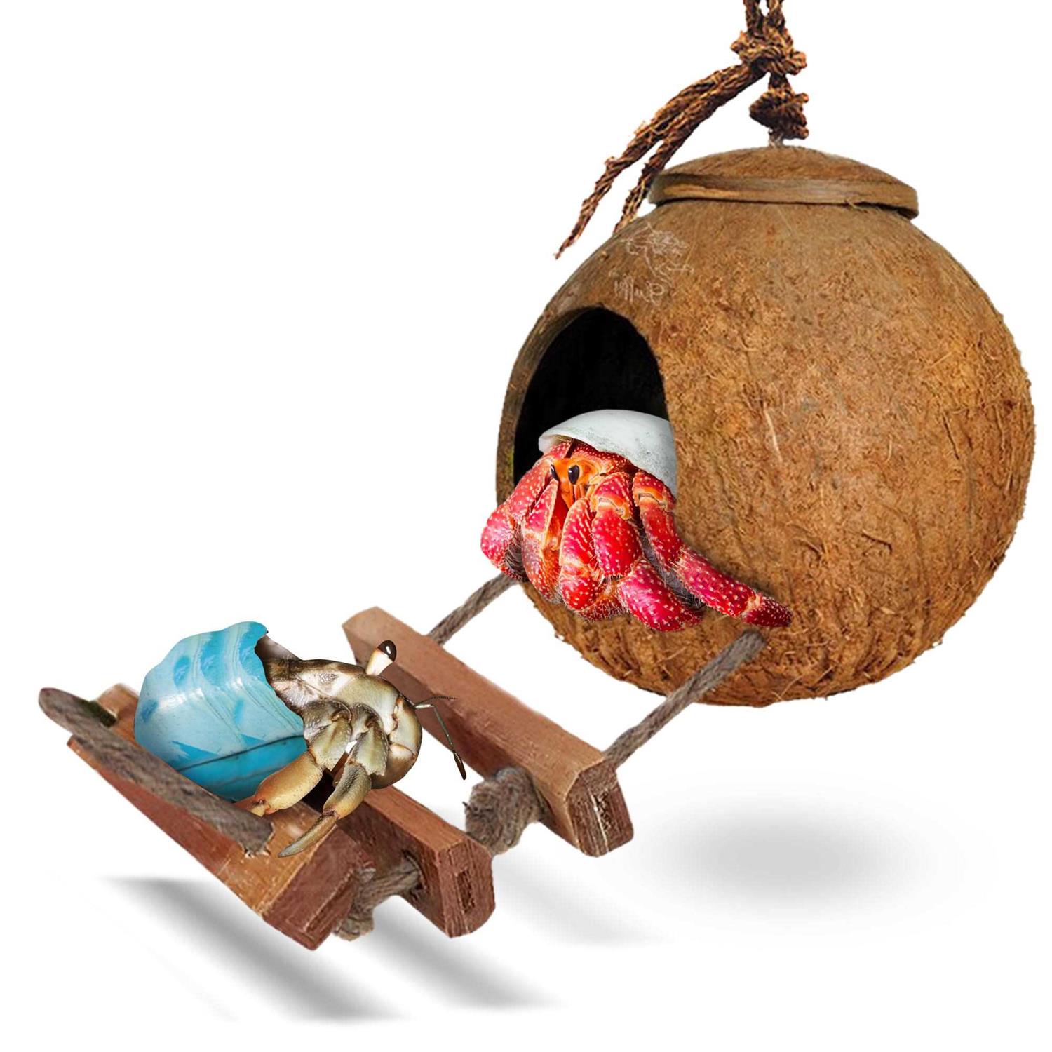 SunGrow Hermit Crab Coco Hut with Ladder - Healthber