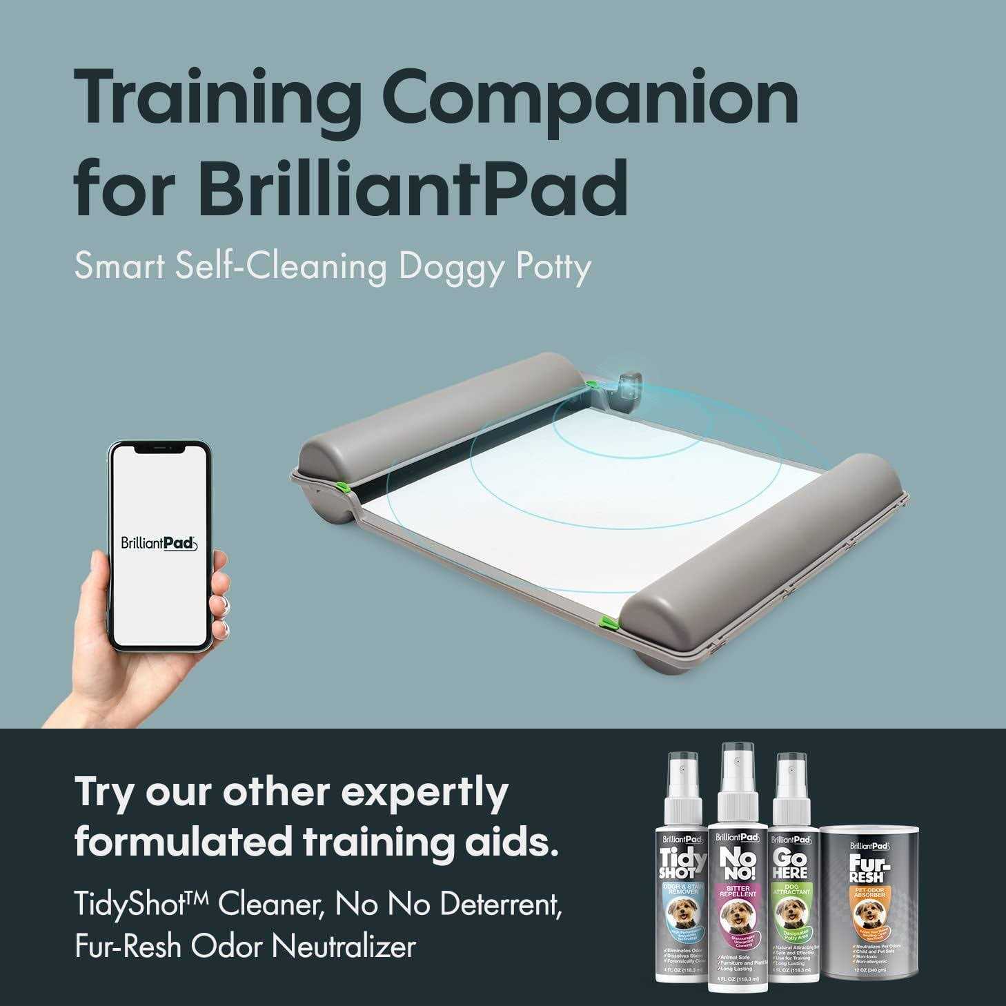 Brilliantpad ‘Go Here!’ Dog Potty Attractant Spray - Healthber