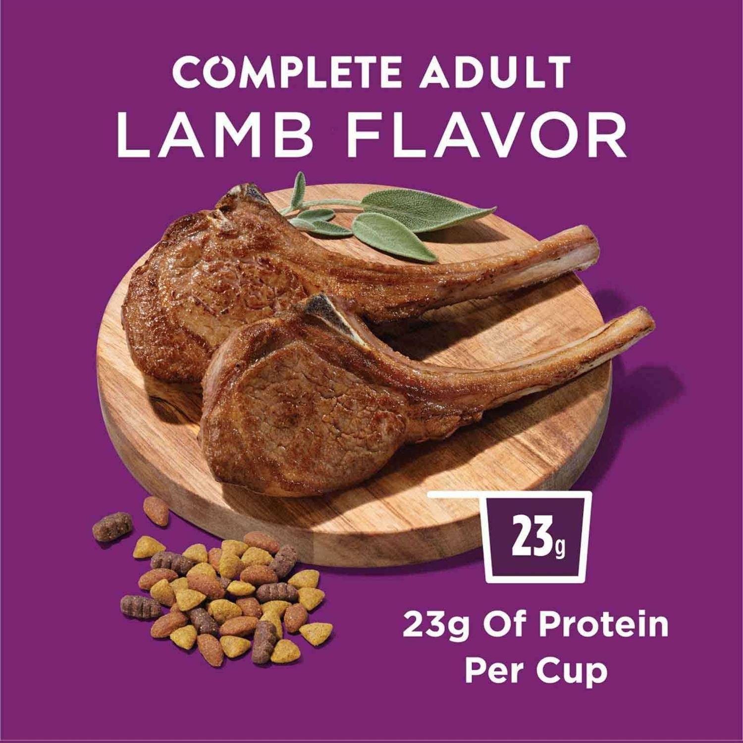 Purina Dog Chow Complete Beef Adult Dry Dog Food - Healthber
