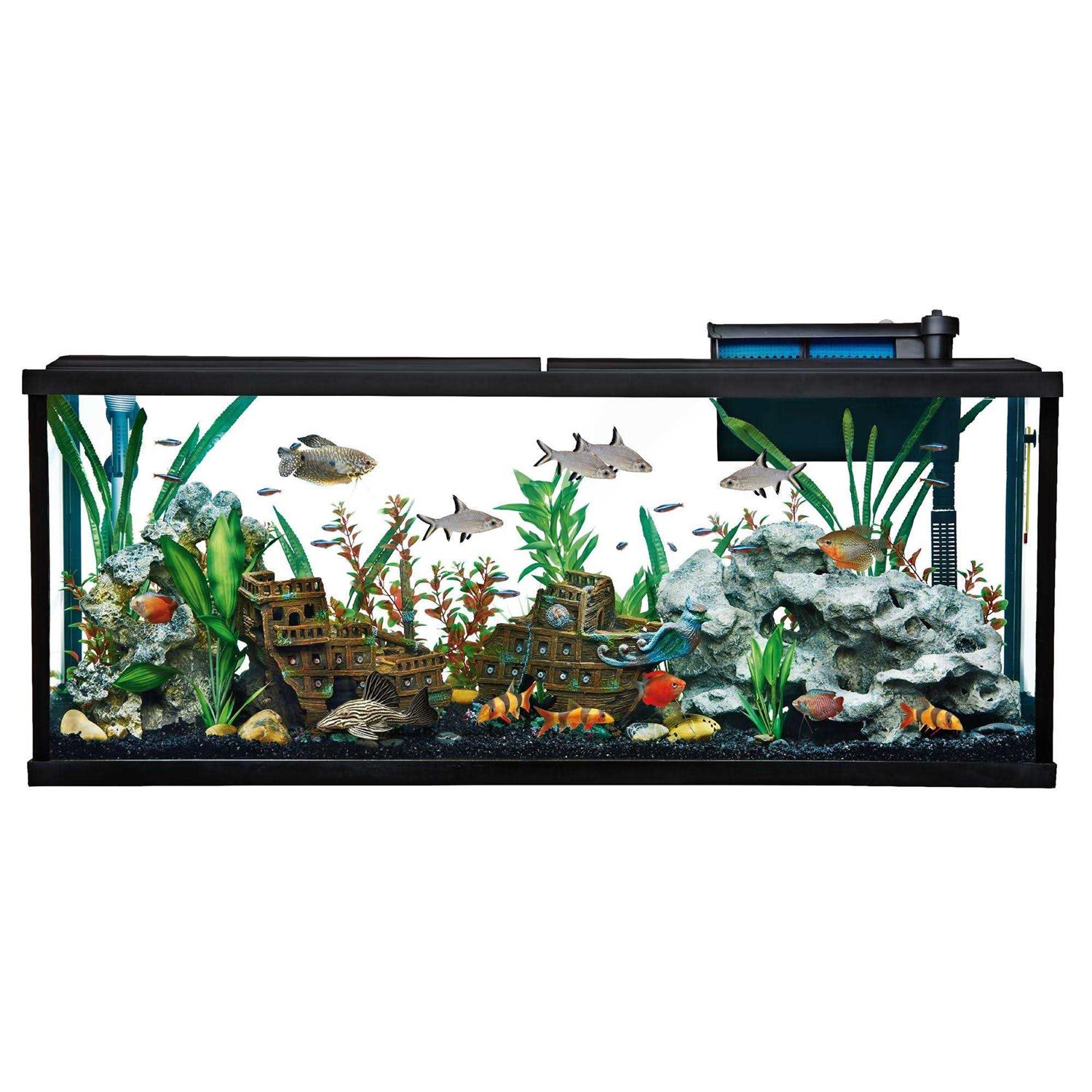 Top Fin Essentials Aquarium Tank Starter Kit - Healthber