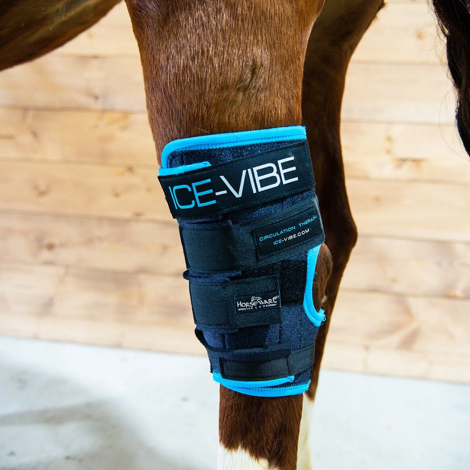 Ice Vibe Hock Wrap 8 Piece Horse Therapy Kit - Healthber