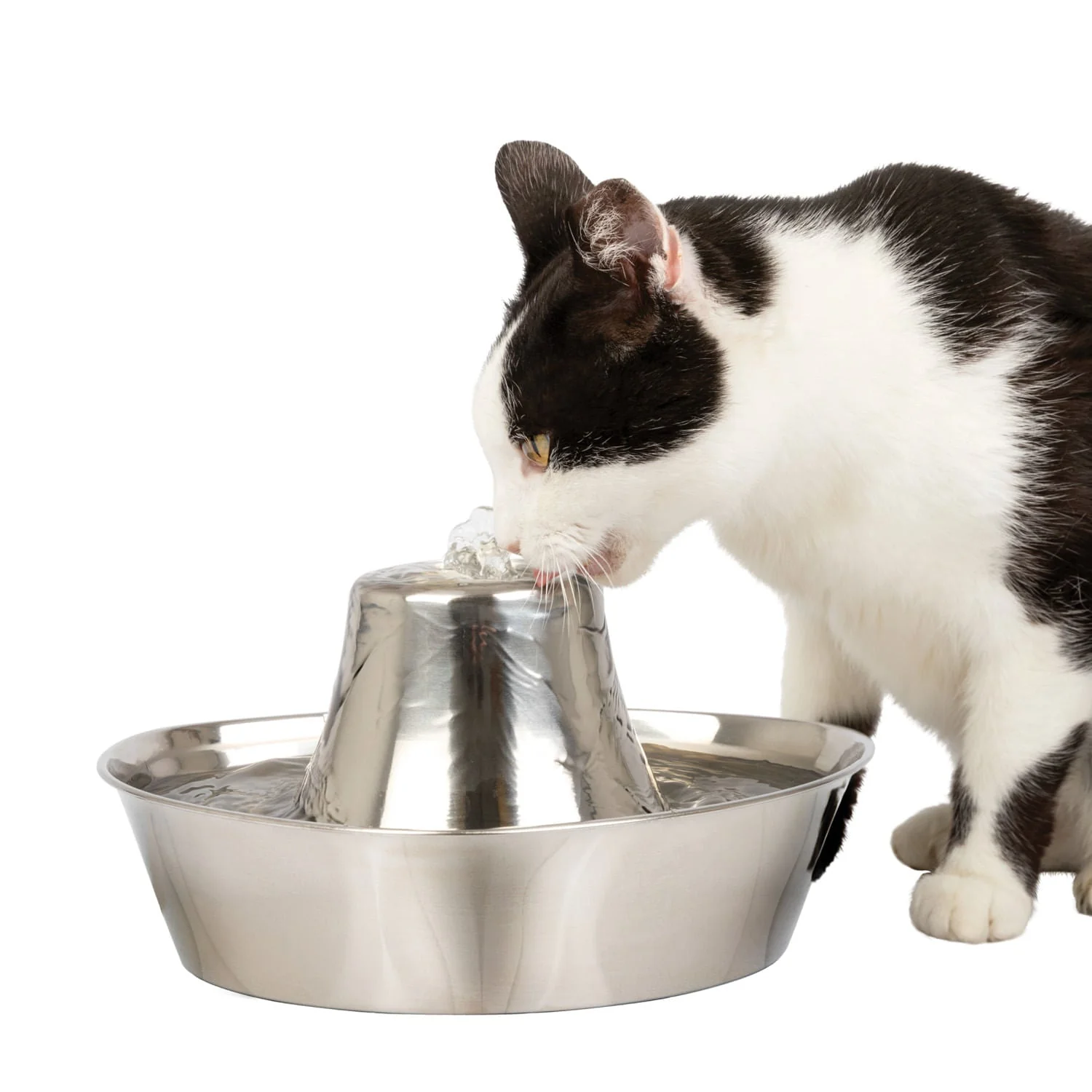 PetSafe Seaside Stainless Pet Fountain - Healthber