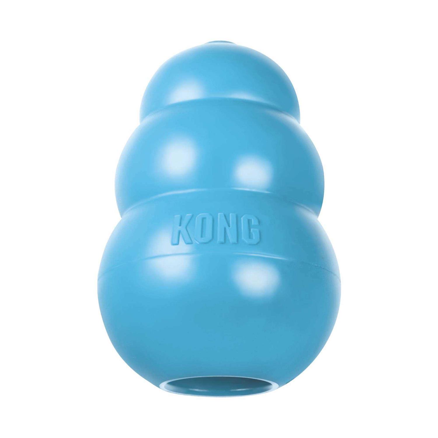KONG Puppy Toy - Healthber