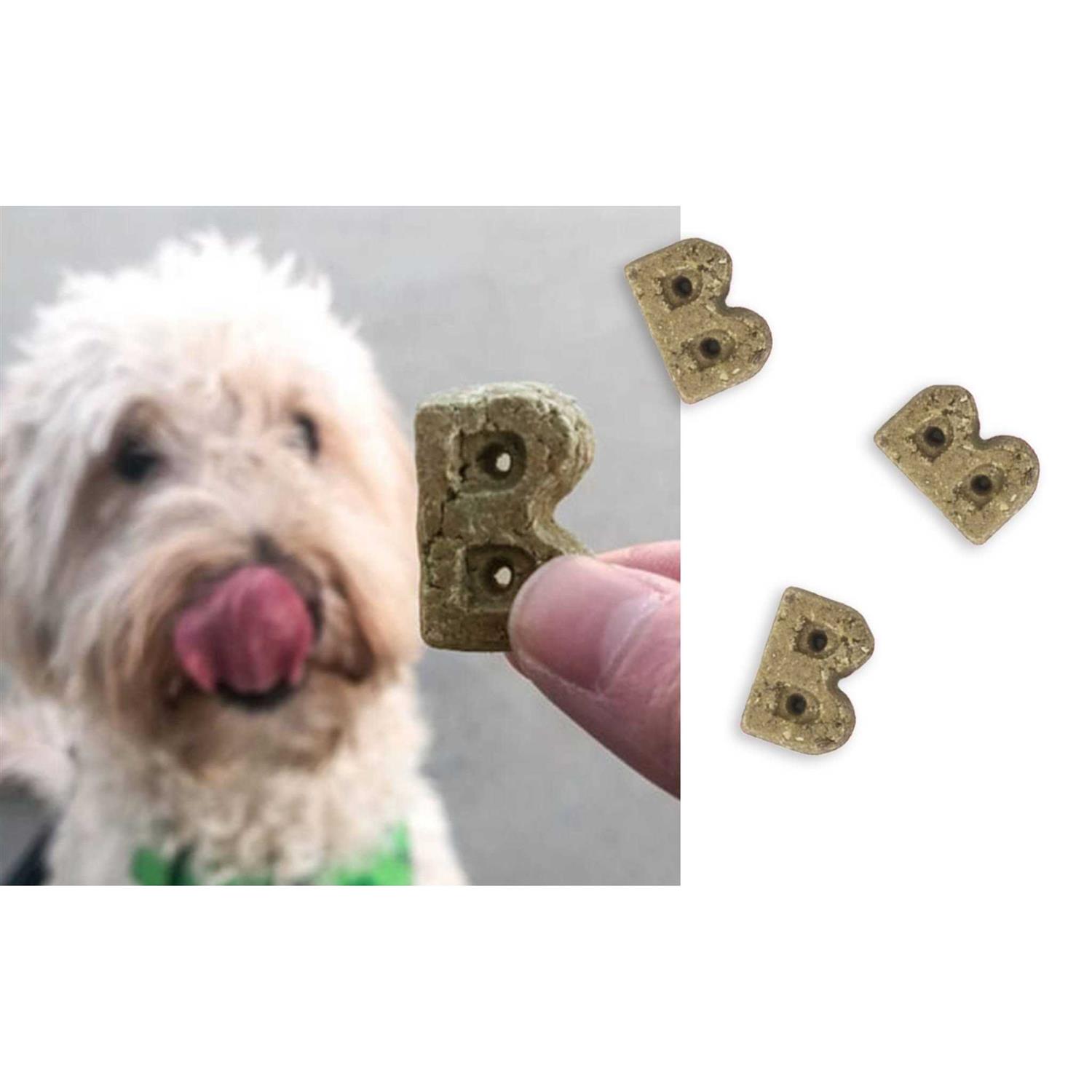 Bocce’s Bakery Brushy Bites Soft & Chewy Dog Treats - Healthber