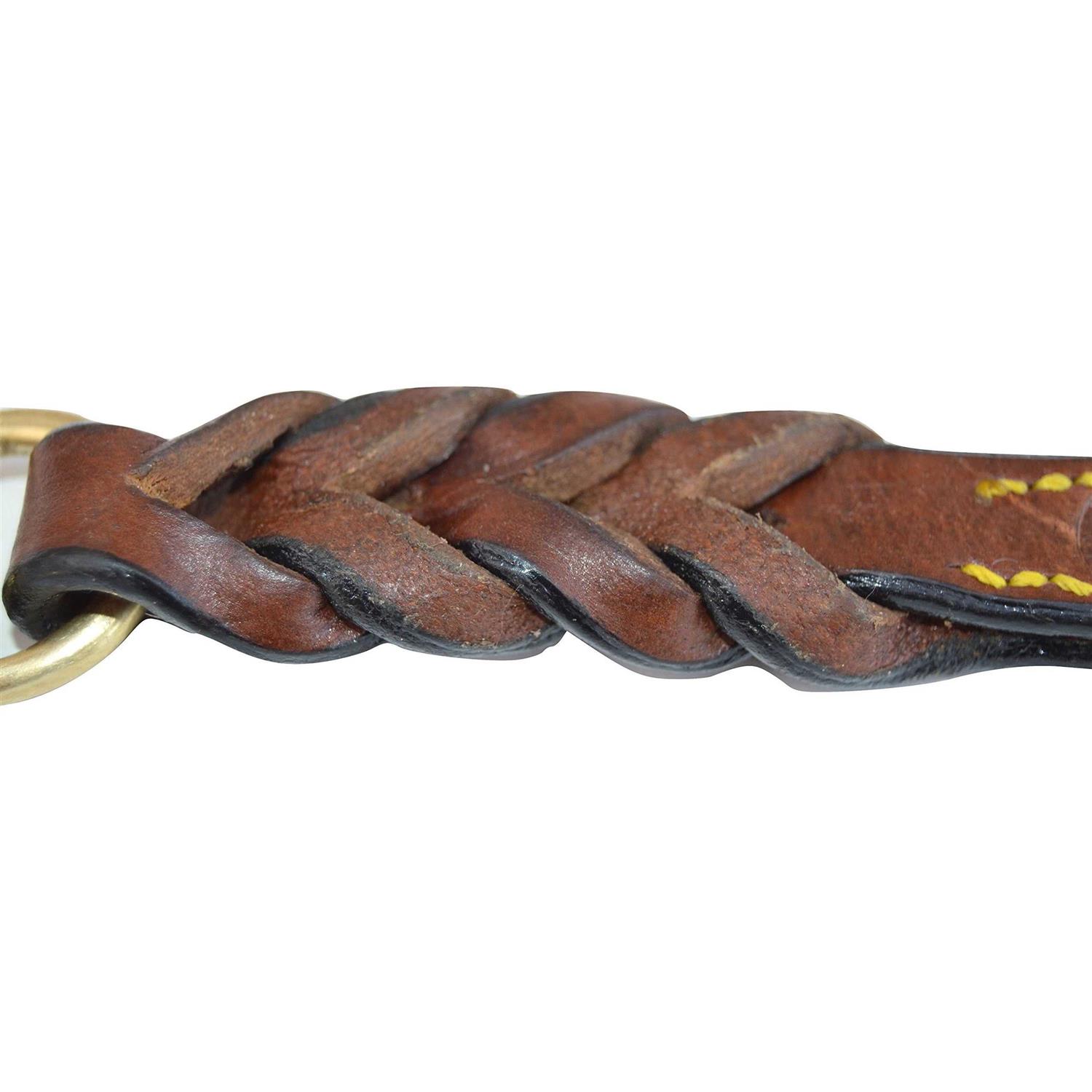 Soft Touch Collars Leather Braided Dog Leash - Healthber