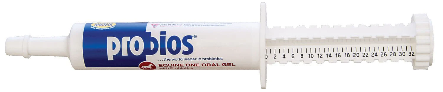 Probios Equine One 30gm - Healthber