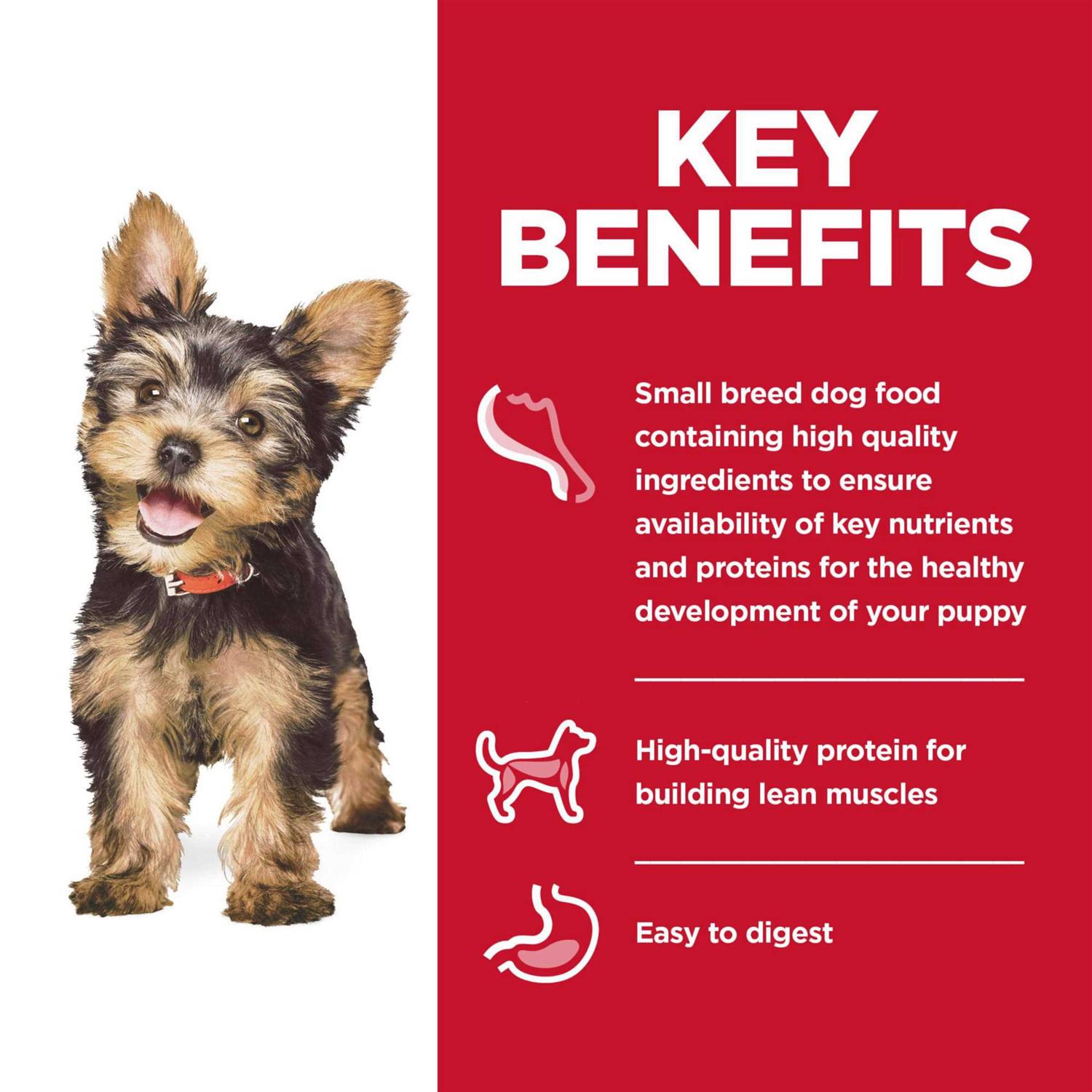 Hill’s Science Diet Wet Dog Food Puppy Small Paws for Small Breeds - Healthber
