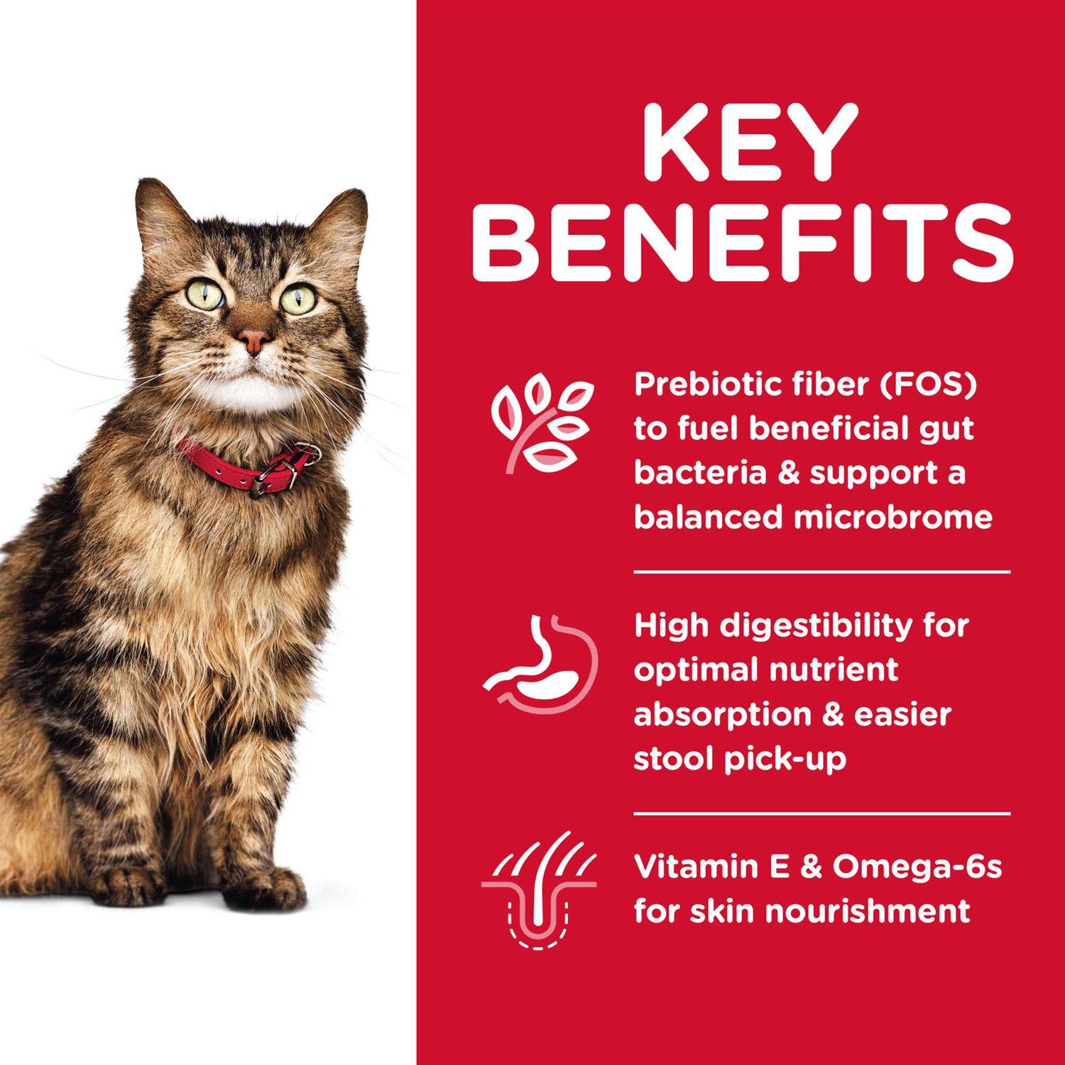 Science Diet Sensitive Stomach and Skin Adult Dry Cat Food - Healthber