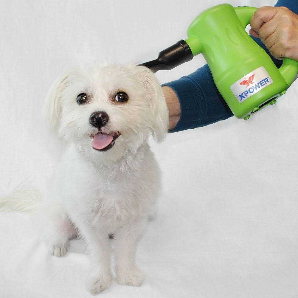 XPOWER Airrow Pro B-53 Multipurpose Pet Dryer - Healthber
