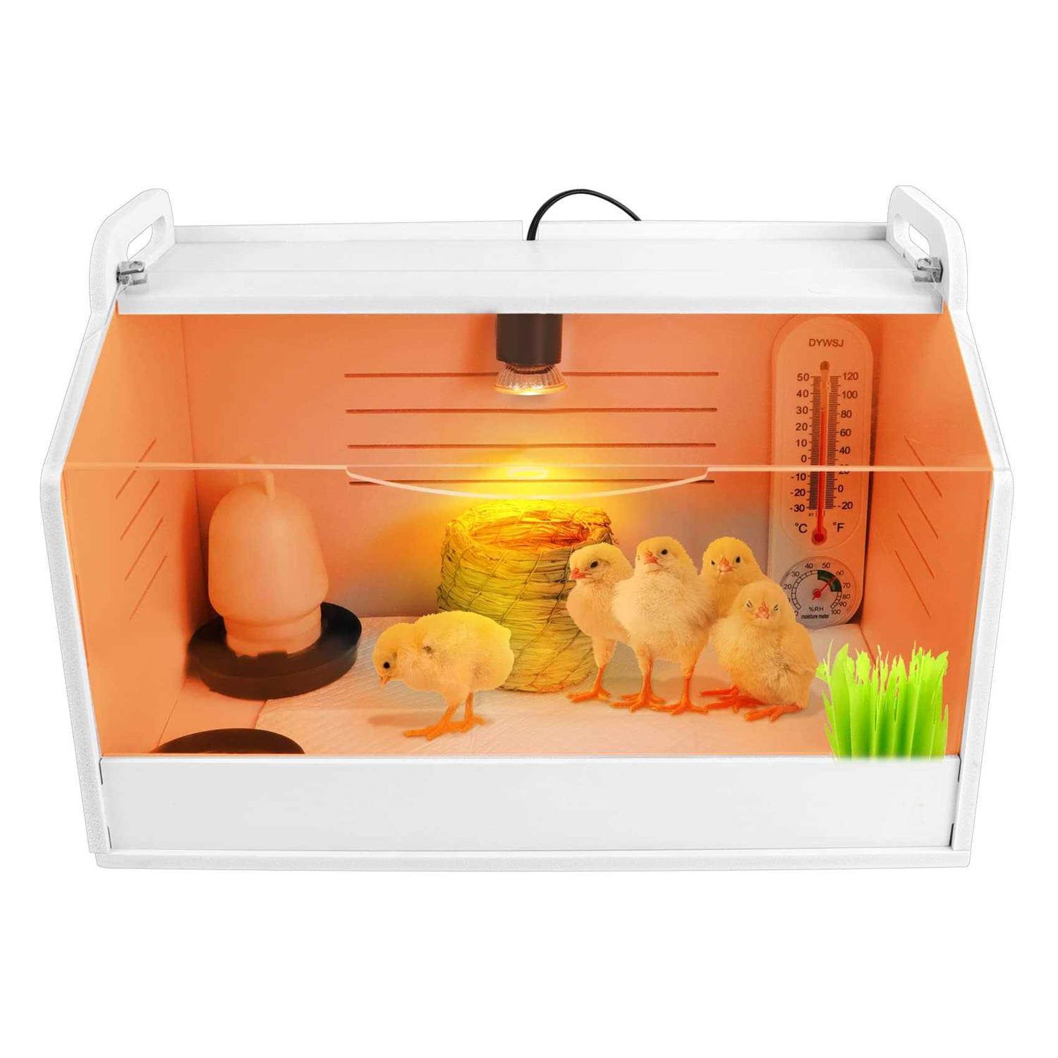 Chick Brooder Brooding Box for Chicks/Parrot/Duckling/Kittens/Puppies with Heating lamp - Healthber