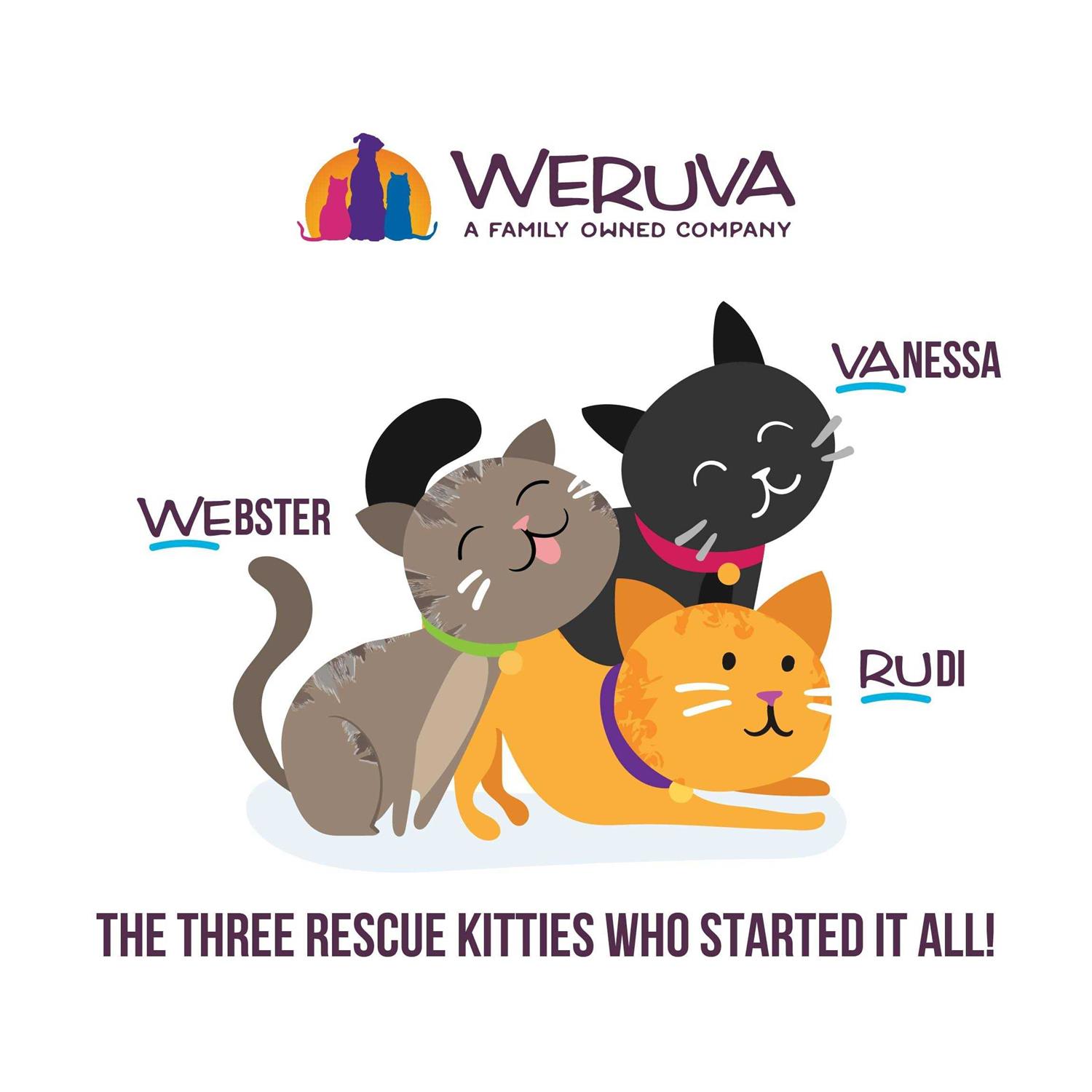 Cats in the Kitchen Kitten Recipe Au Jus Wet Cat Food - Healthber