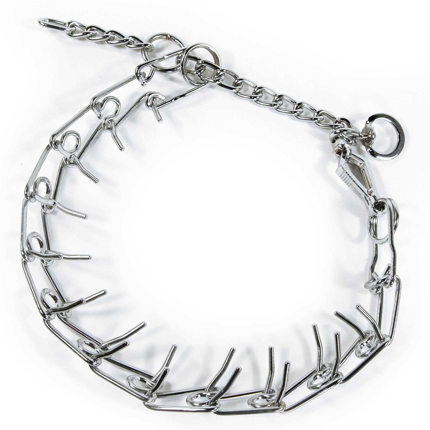 Pet Champion Pronged Training Control Collar Extra Large 22-28in - Healthber