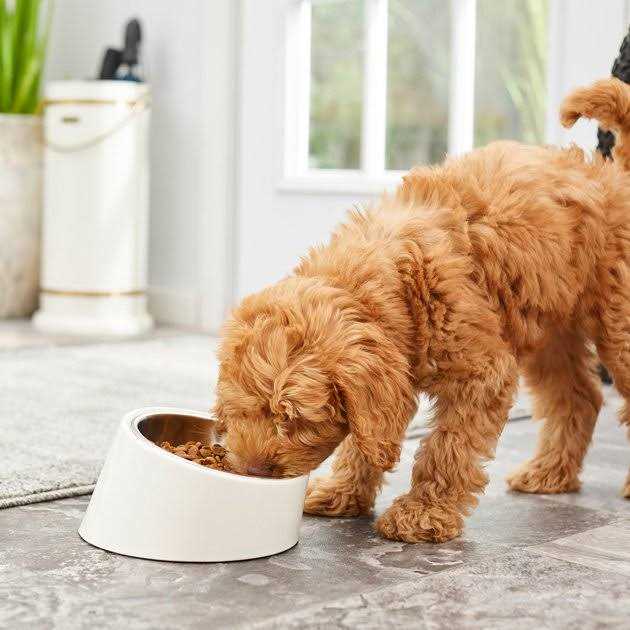 Frisco Slanted Stainless Steel Bowl - Healthber