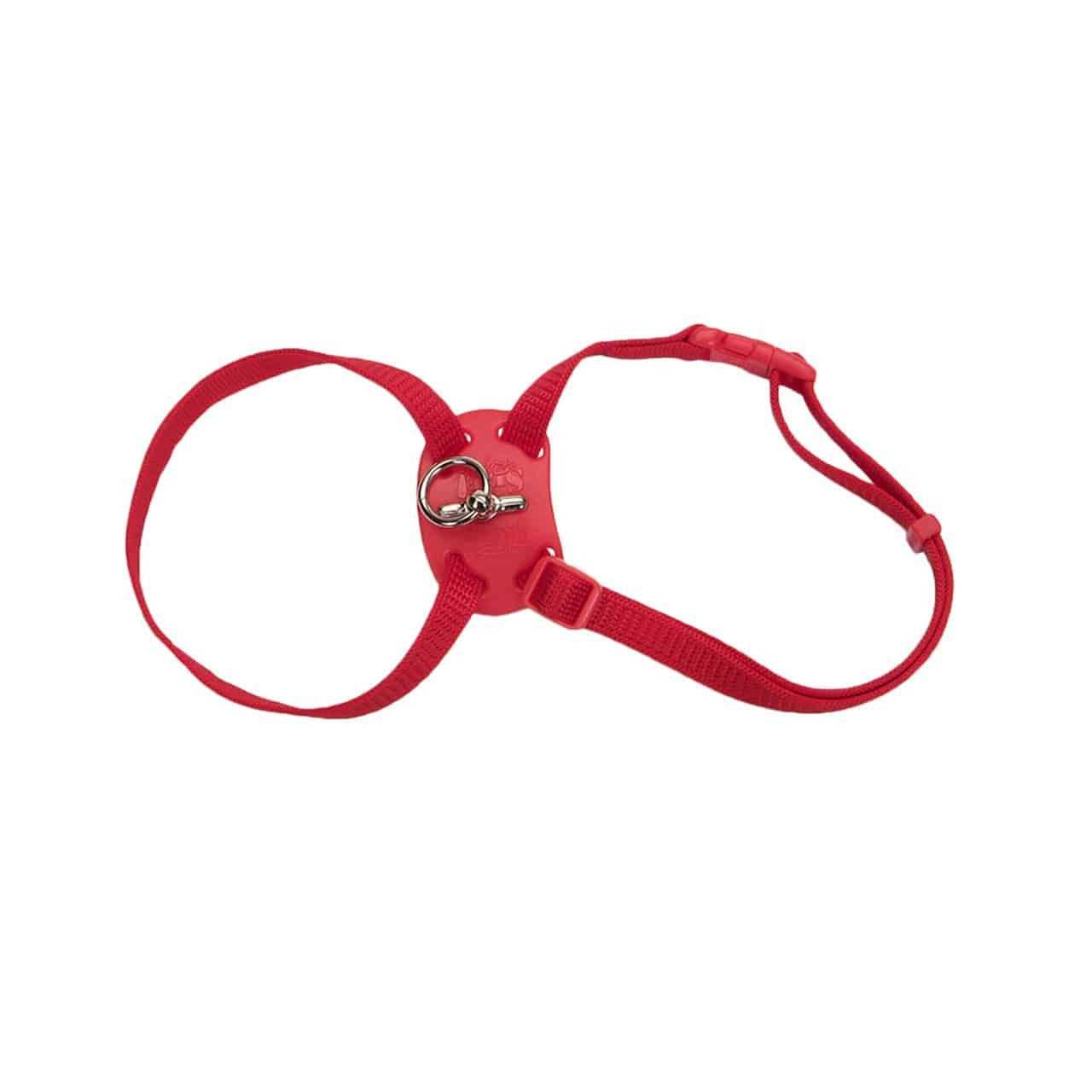 Coastal Pet Size Right Adjustable Cat Harness - Healthber