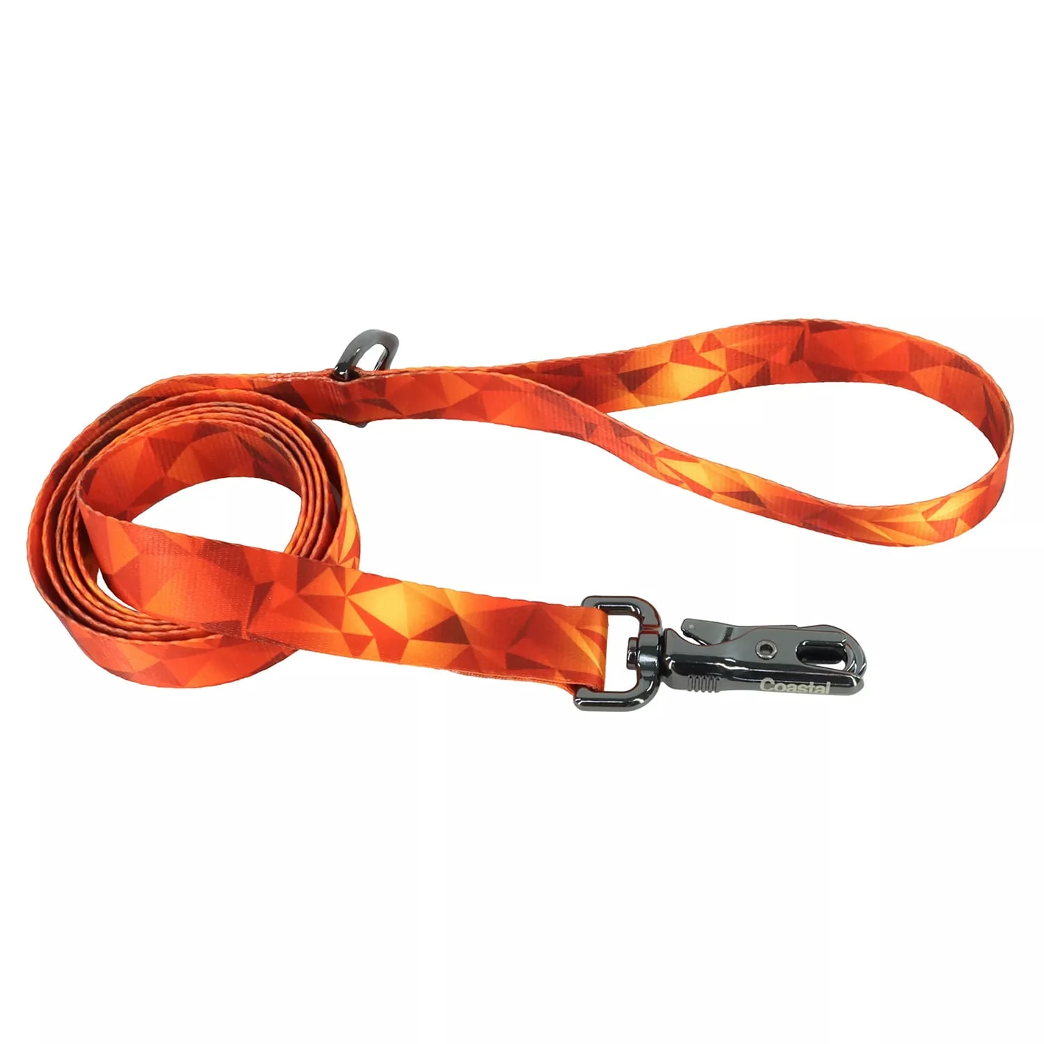 Inspire Fashion Dog Leash - Healthber