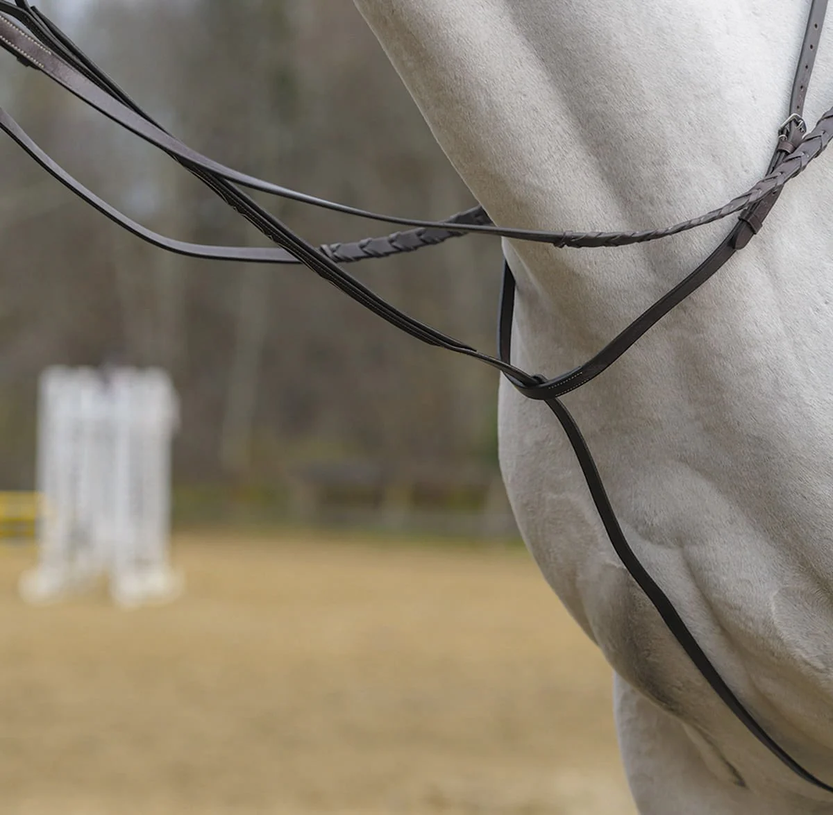 Shires Standing Martingale, Havana - Healthber