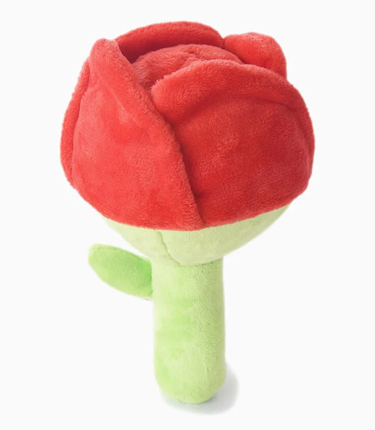 HugSmart Superball Rose Dog Toy - Healthber