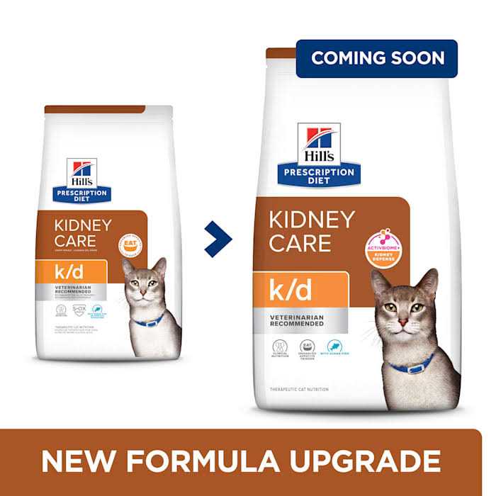 Prescription Diet k/d Kidney Care Cat Dry Food - Healthber