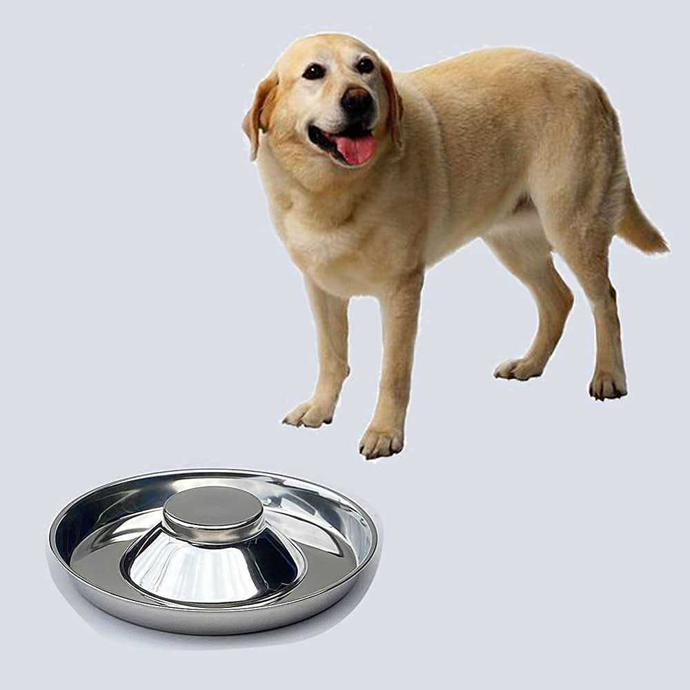 ballmount 2 Puppy Bowl Puppy Feeding Bowls for Small Dogs whelping Box Water Weaning Bowls - Healthber