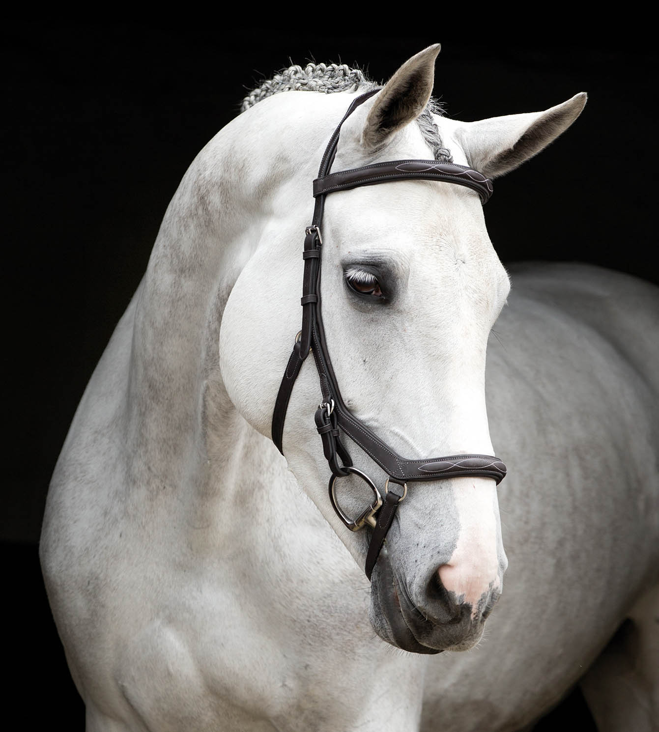 Rambo Micklem Deluxe Competition Bridle, Dark Havana - Healthber