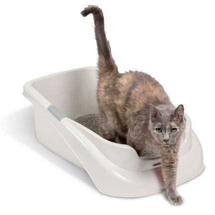 Lucky Champ Litter Pan - Healthber