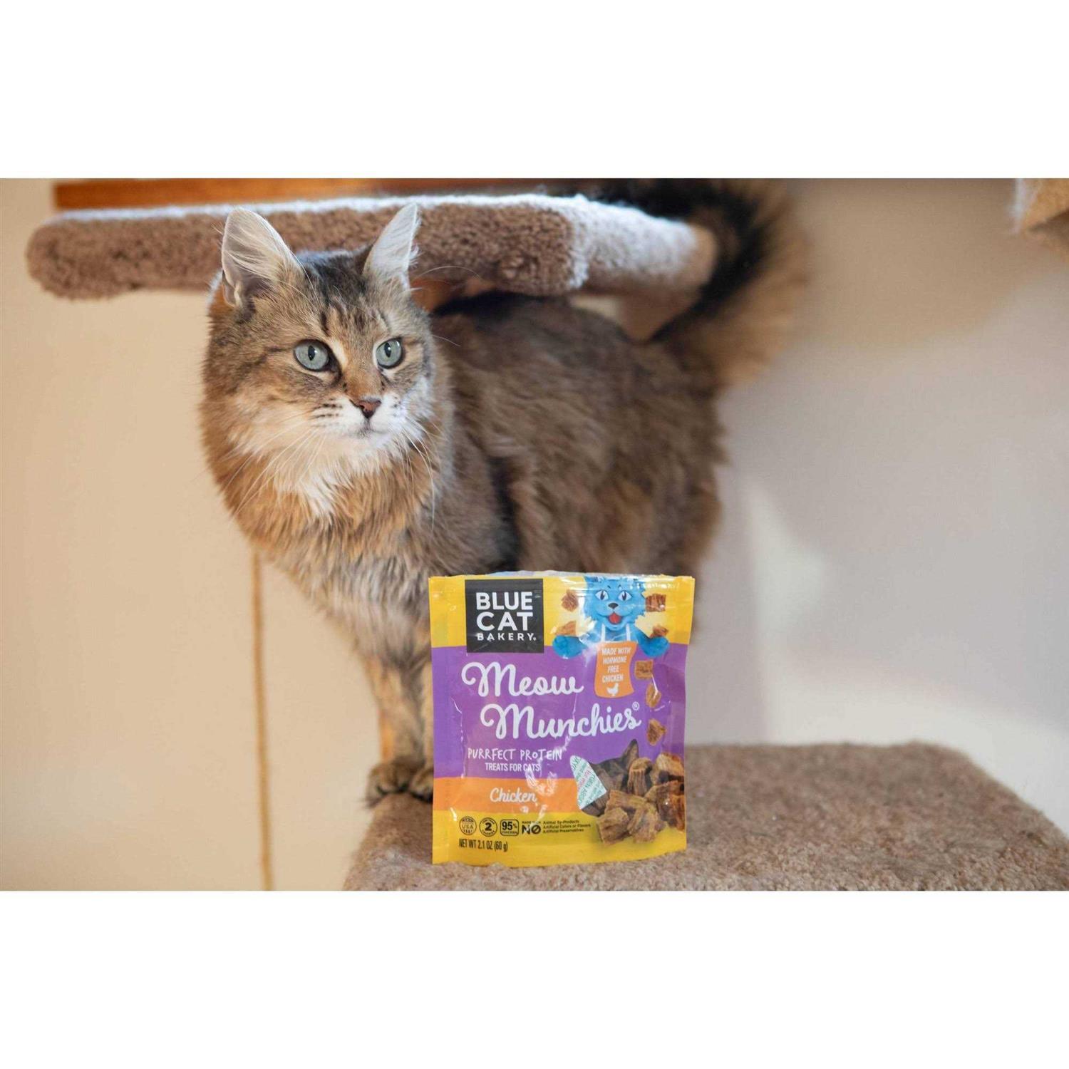 Blue Cat Bakery Meow Munchies Cats - Healthber