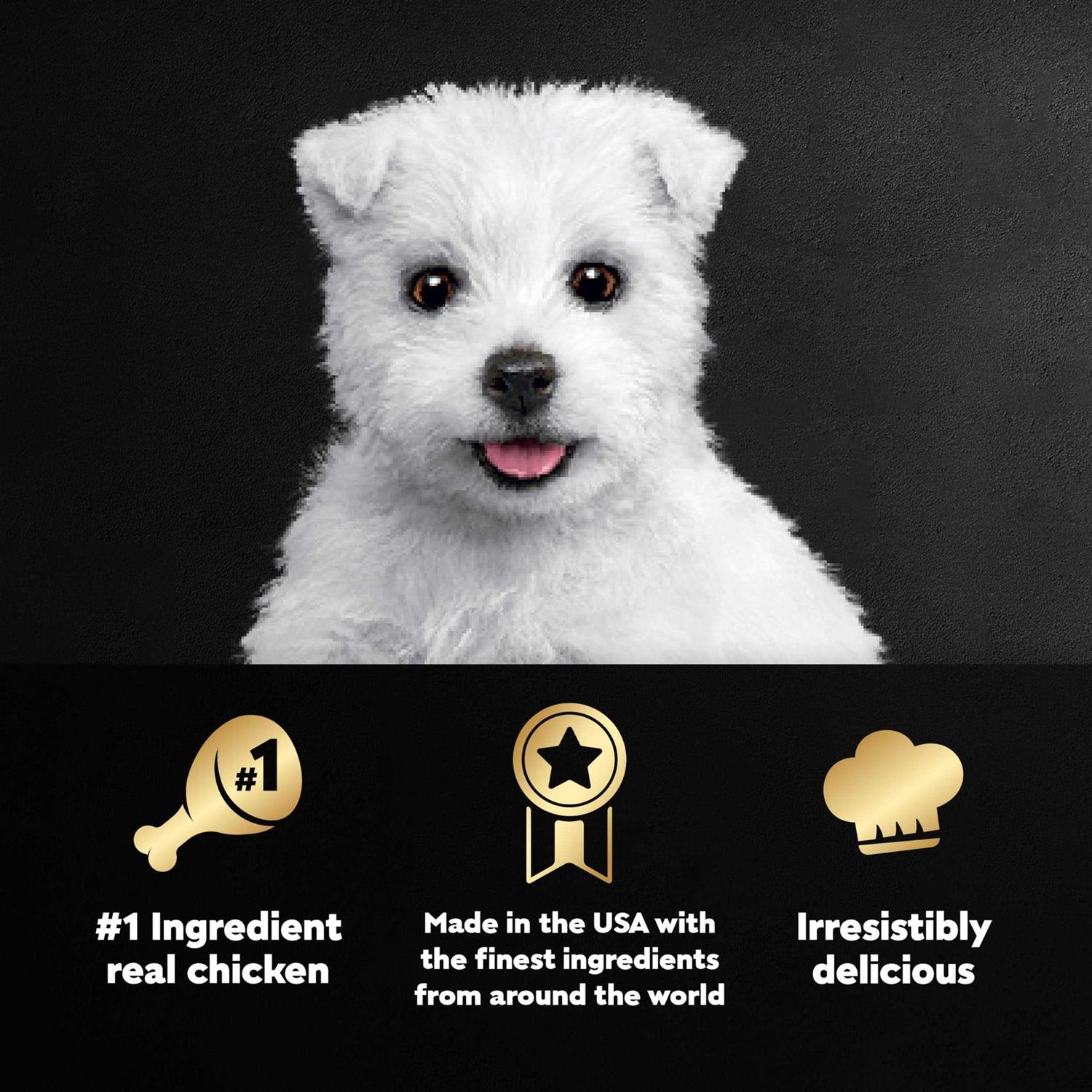 Cesar Classic Loaf in Sauce Wet Dog Food Chicken & Beef Recipe Puppy - Healthber