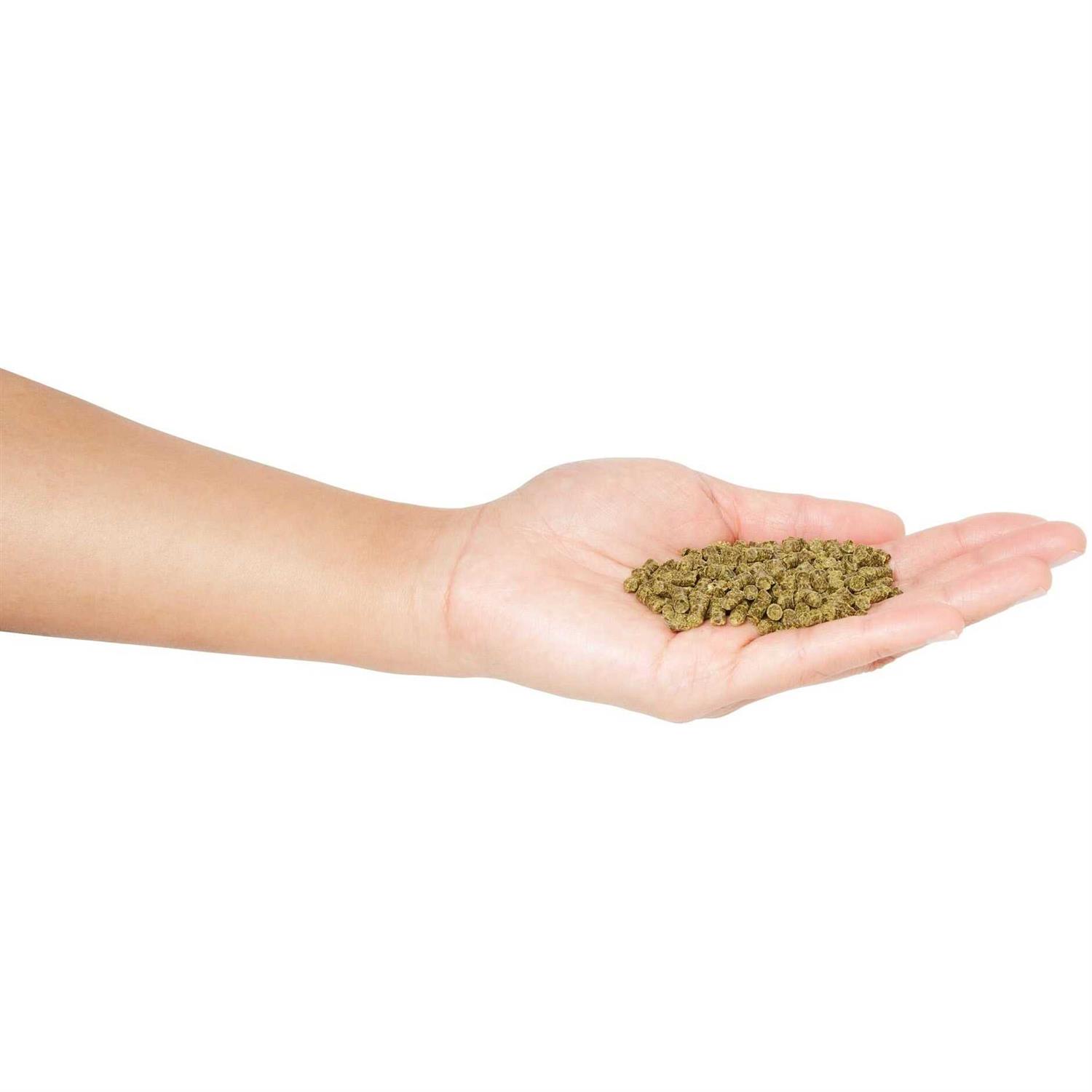 Sherwood Pet Health Adult Rabbit Food Timothy Hay Pellet Hay-Based - Healthber