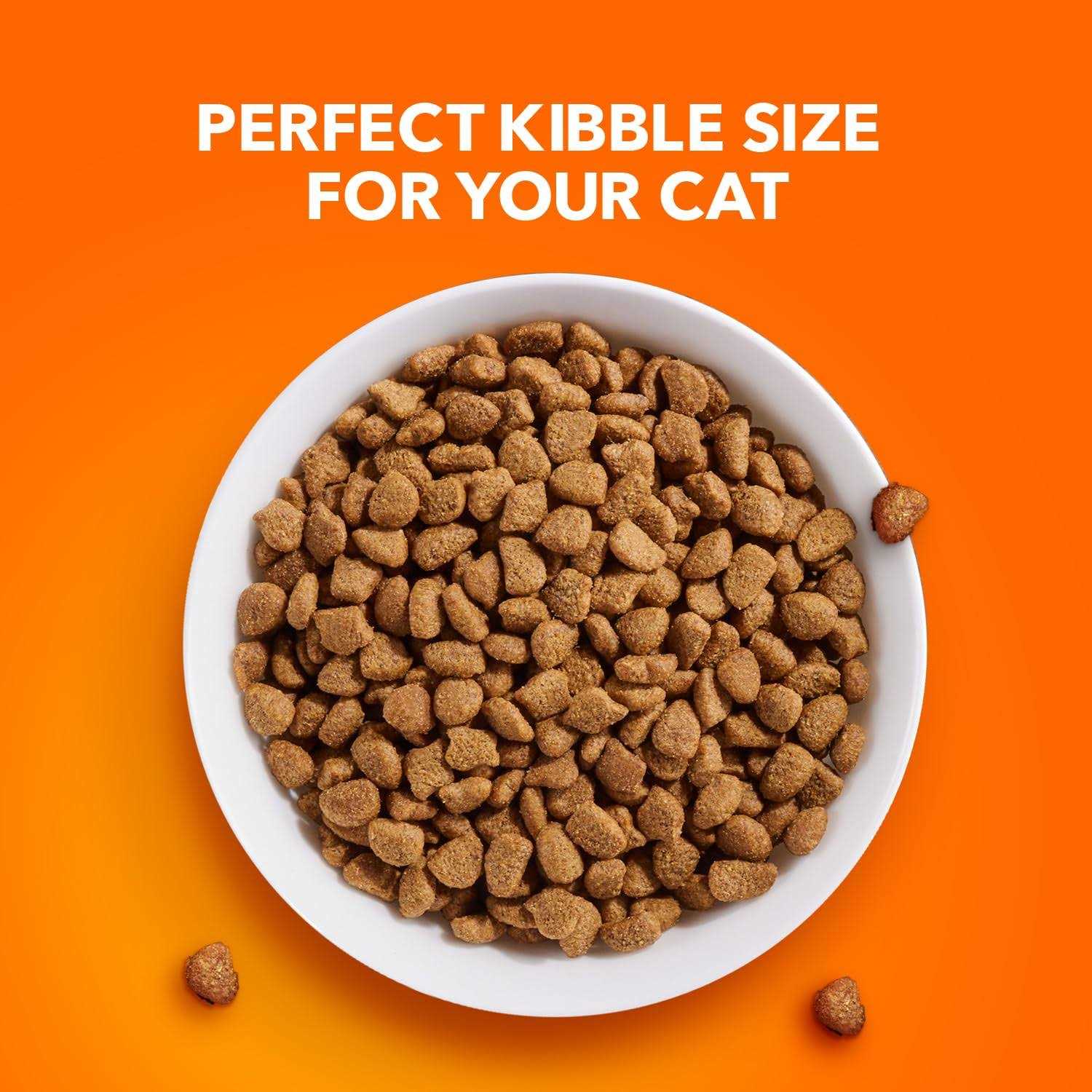 Iams ProActive Health Healthy Adult Cat Food - Healthber