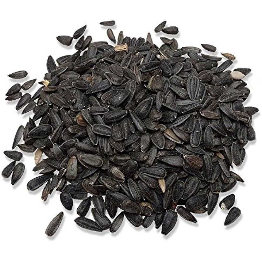Audubon Park Black Oil Sunflower Seed Wild Bird Food 12259 - Healthber