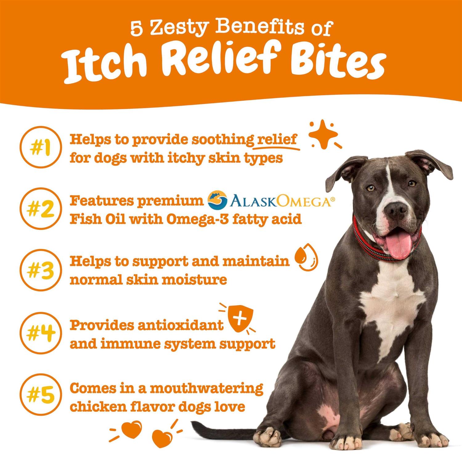 Zesty Paws Itch Relief Bites Chicken Flavored Soft Chews Supplement for Dogs - Healthber