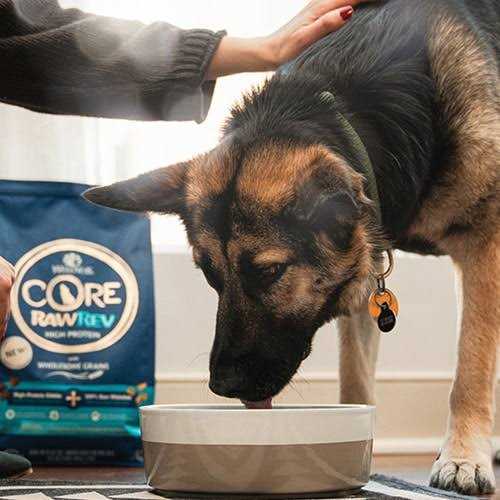 Wellness CORE RawRev Grain Free Whitefish Dog Food - Healthber