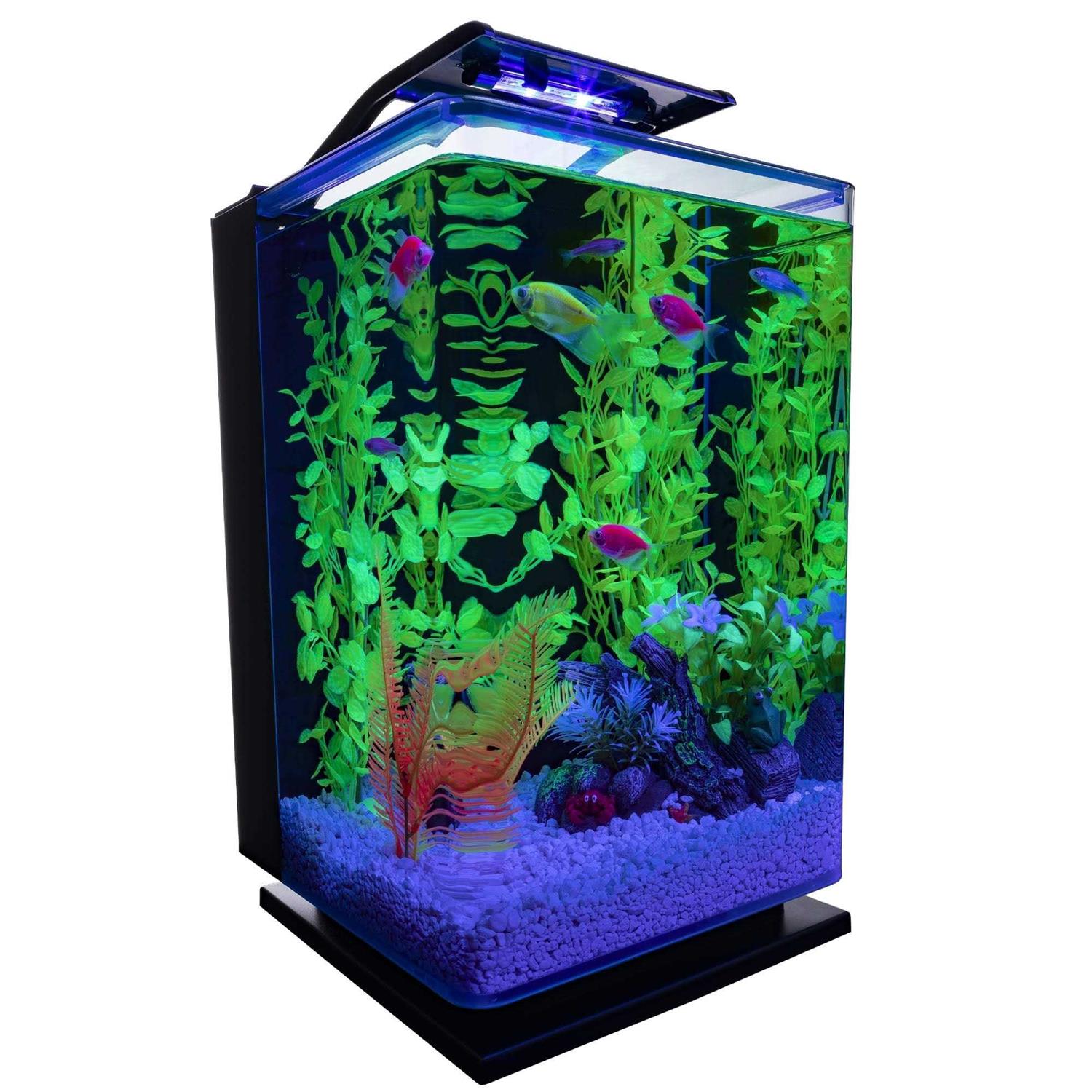 GloFish Aquarium Kit - Healthber