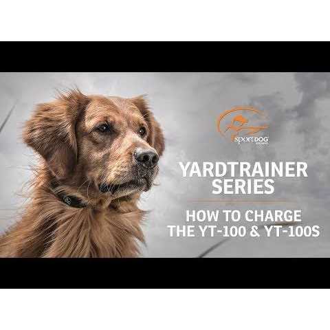 SportDOG YardTrainer 100 - Healthber