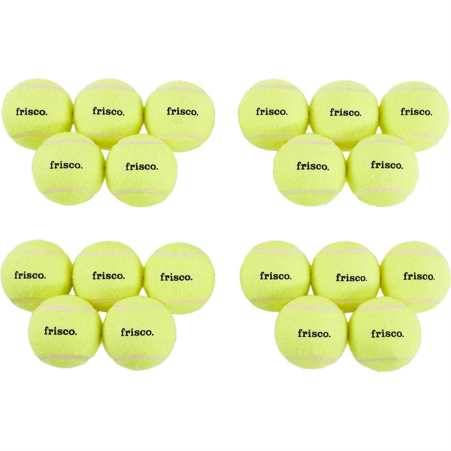 Frisco Fetch Squeaky Tennis Ball Dog Toy - Healthber