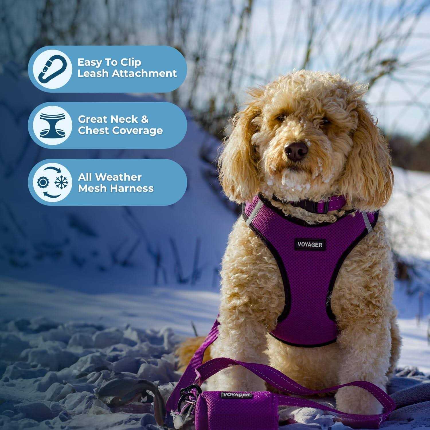 Voyager Step-in Air Dog Harness All Weather Mesh Step in Vest Harness for Small and Medium Dogs by Best Pet Supplies - Healthber