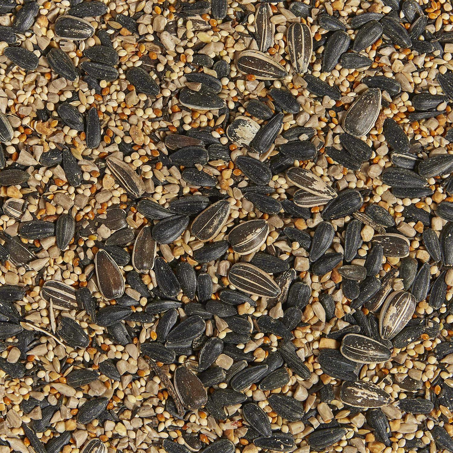 Kaytee Western Regional Blend Wild Bird Food - Healthber