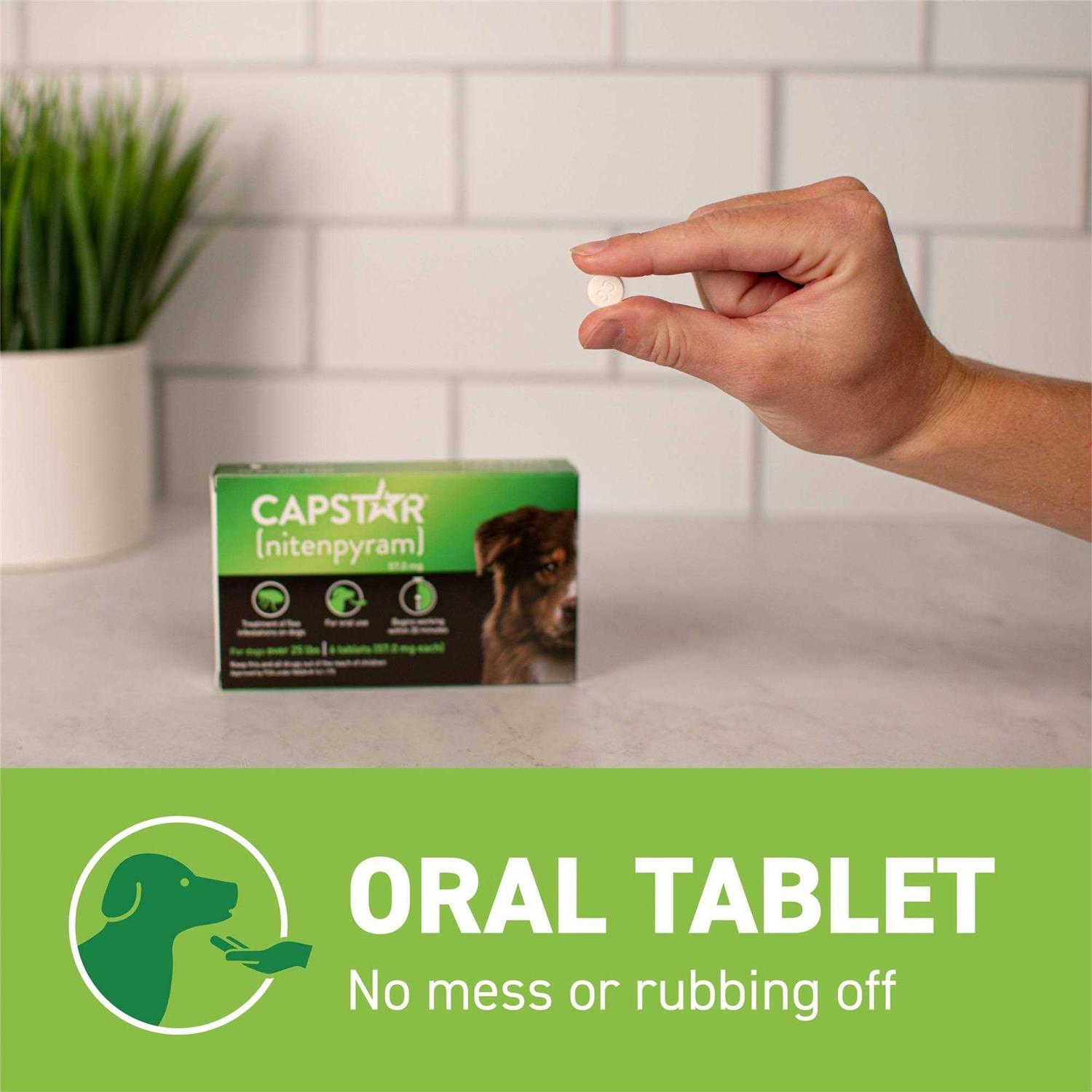 Capstar Flea Oral Treatment for Dogs - Healthber