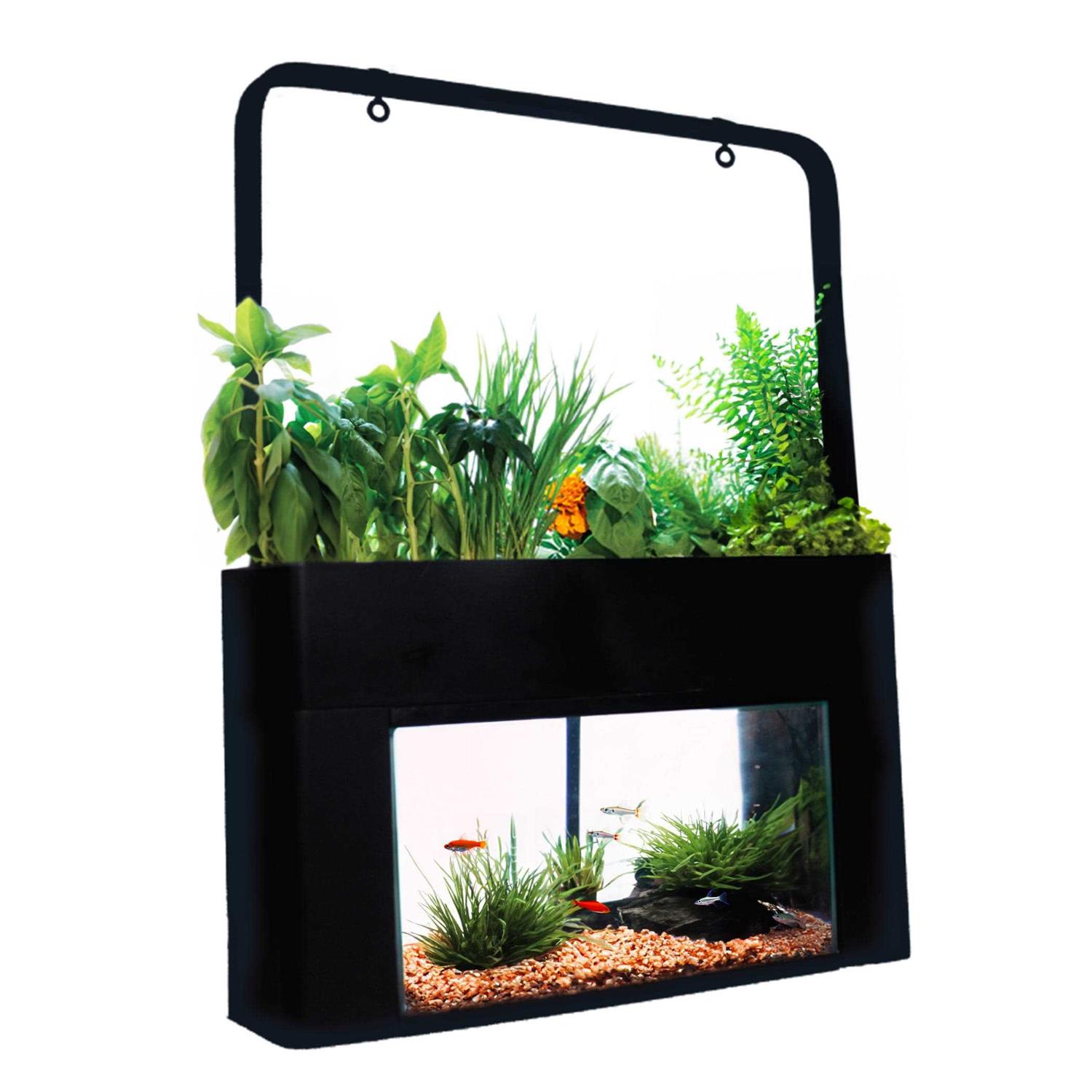 AquaSprouts Garden kit - Healthber