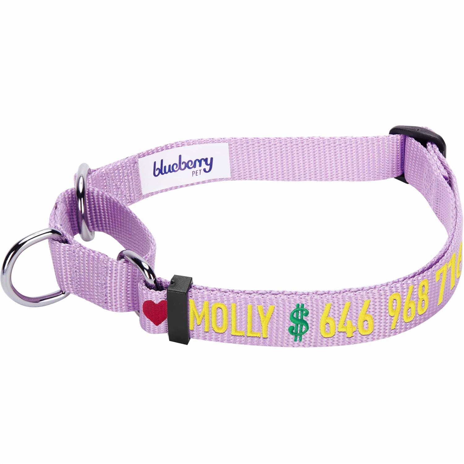 Blueberry Pet Martingale Safety Training Dog Collar - Healthber