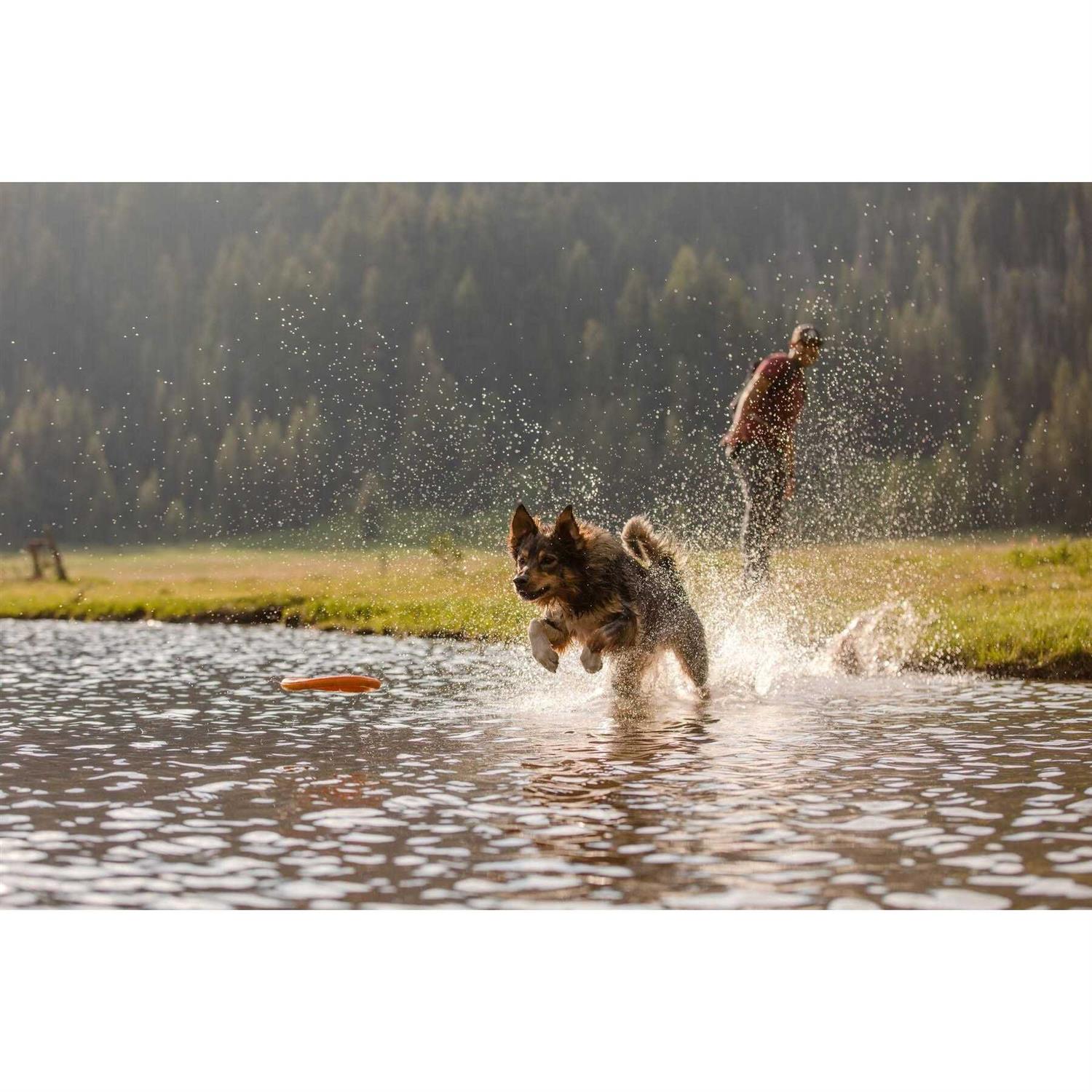Ruffwear Hydro Plane Toy - Healthber
