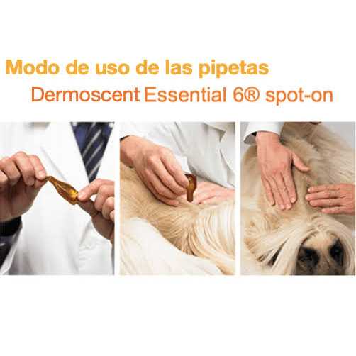 Dermoscent Essential 6 Spot-On Dogs - Healthber