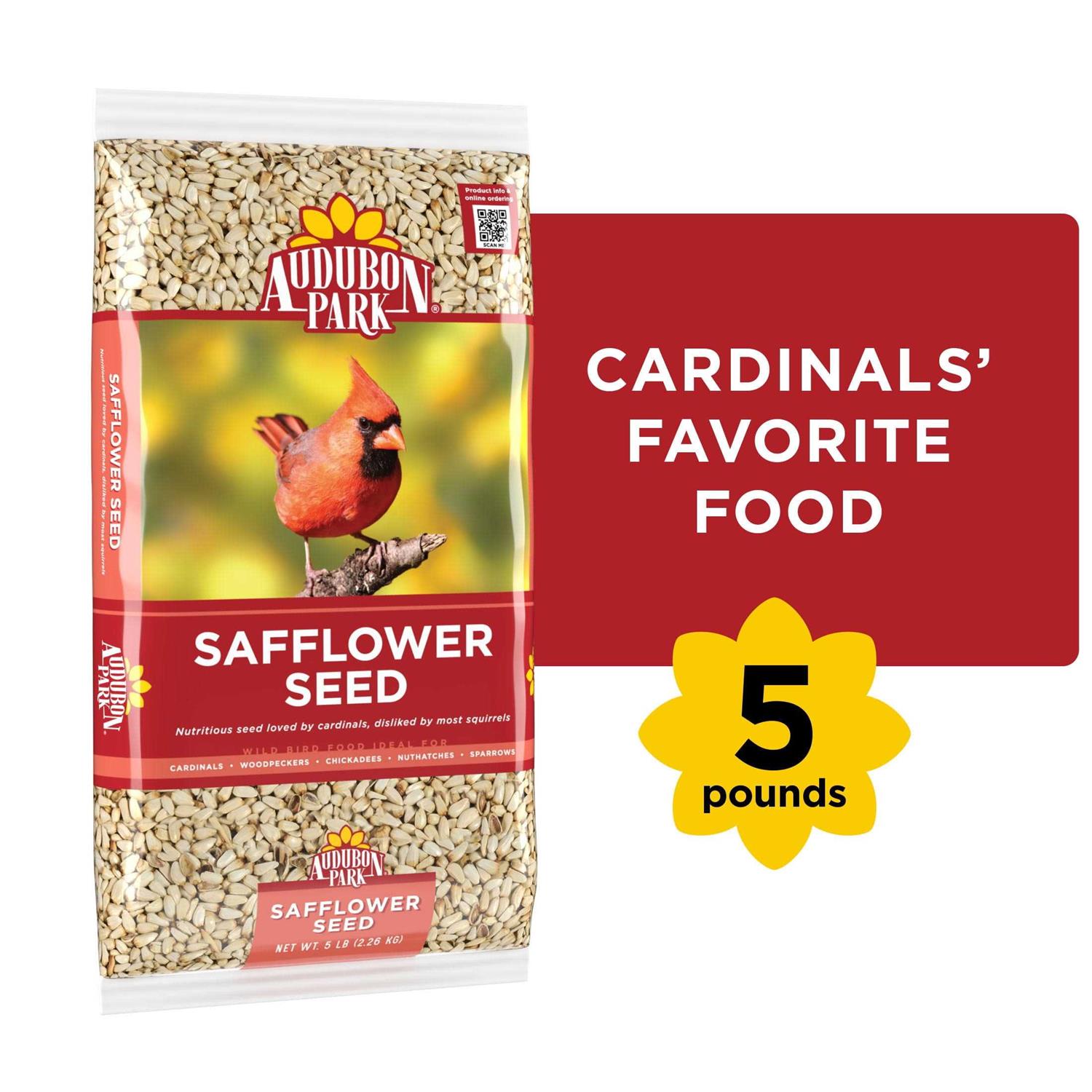 Audubon Park Safflower Seed Wild Bird Food - Healthber